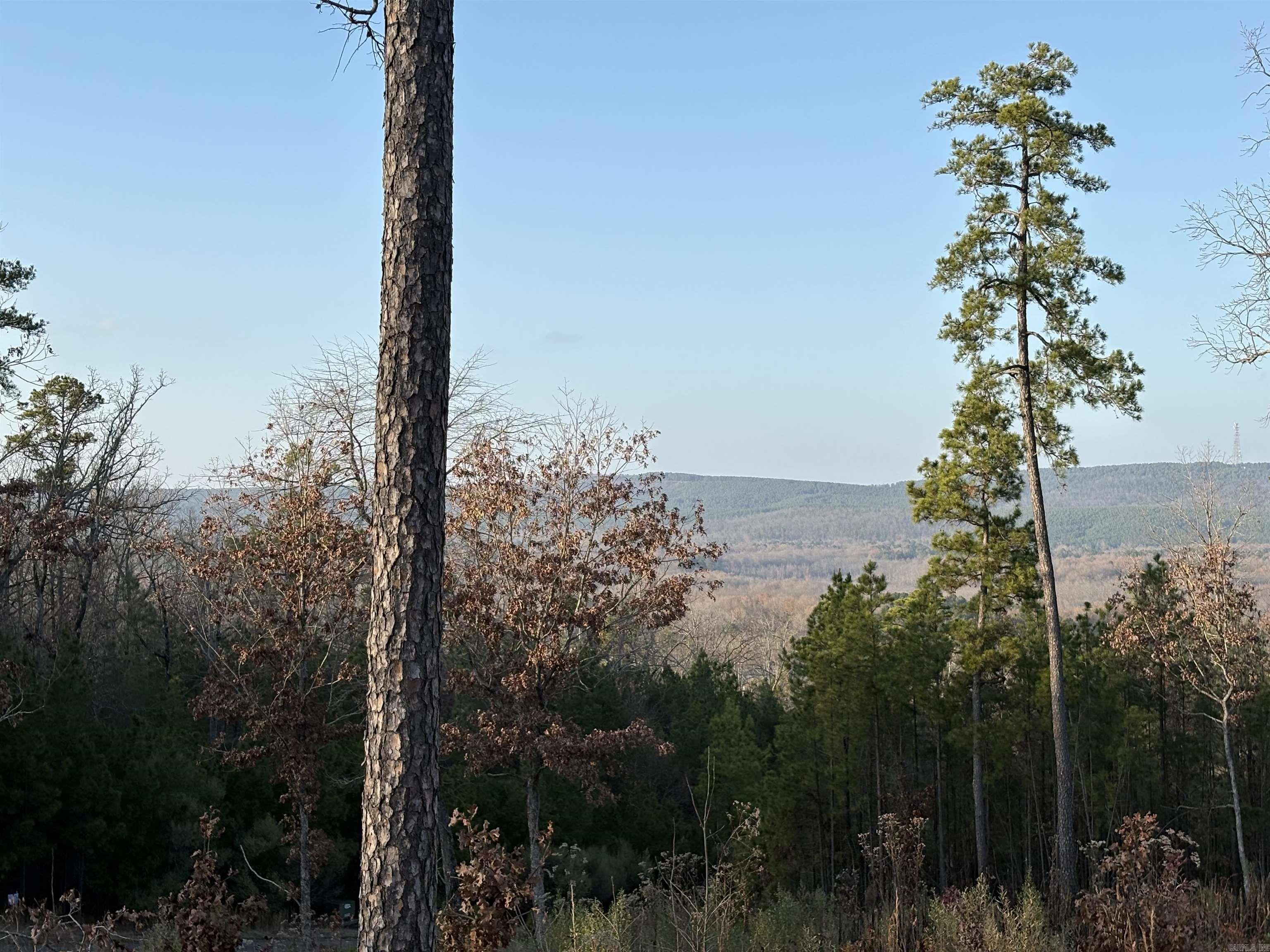 21216 valley view  Roland, AR