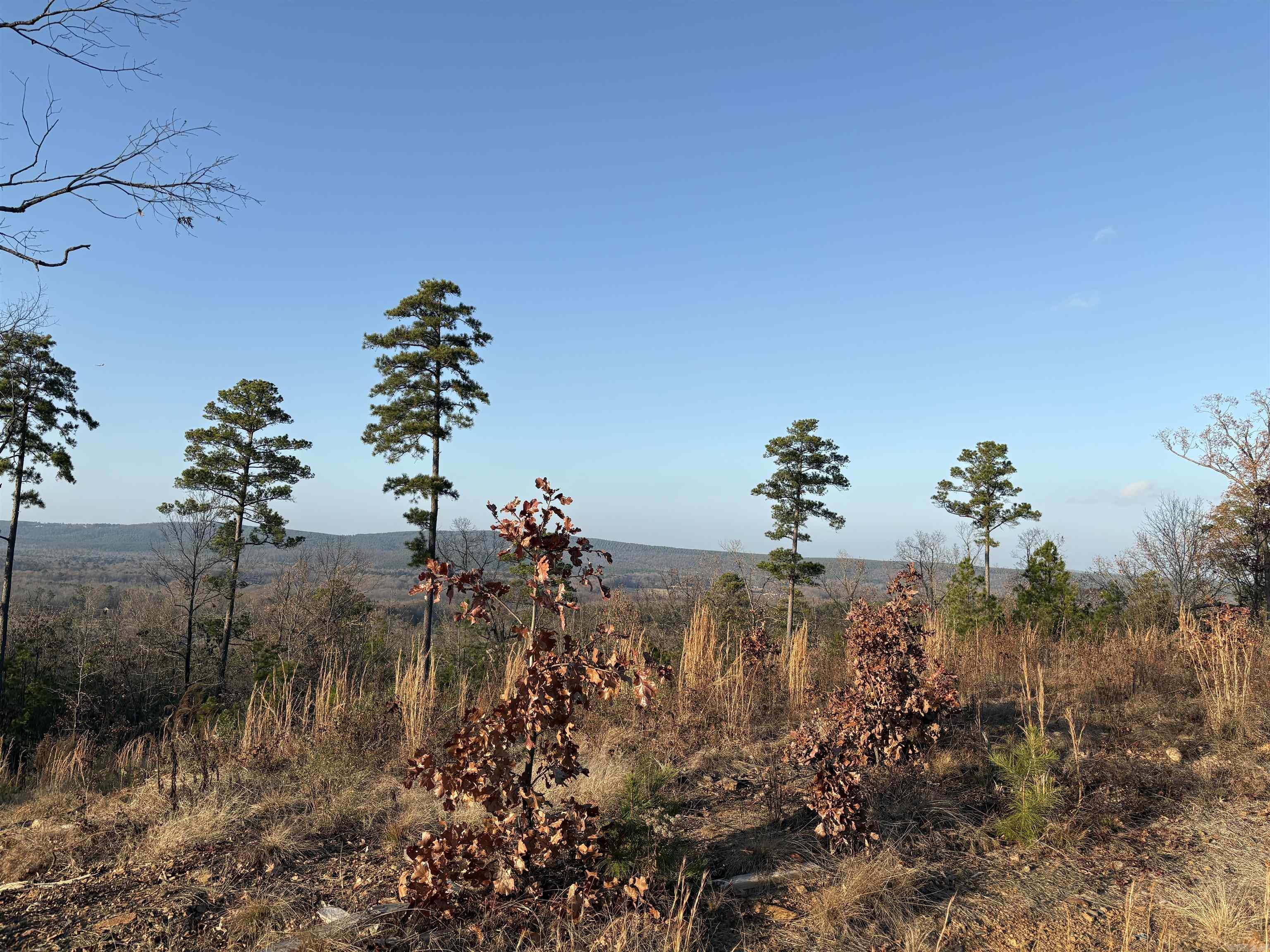 21216 valley view  Roland, AR