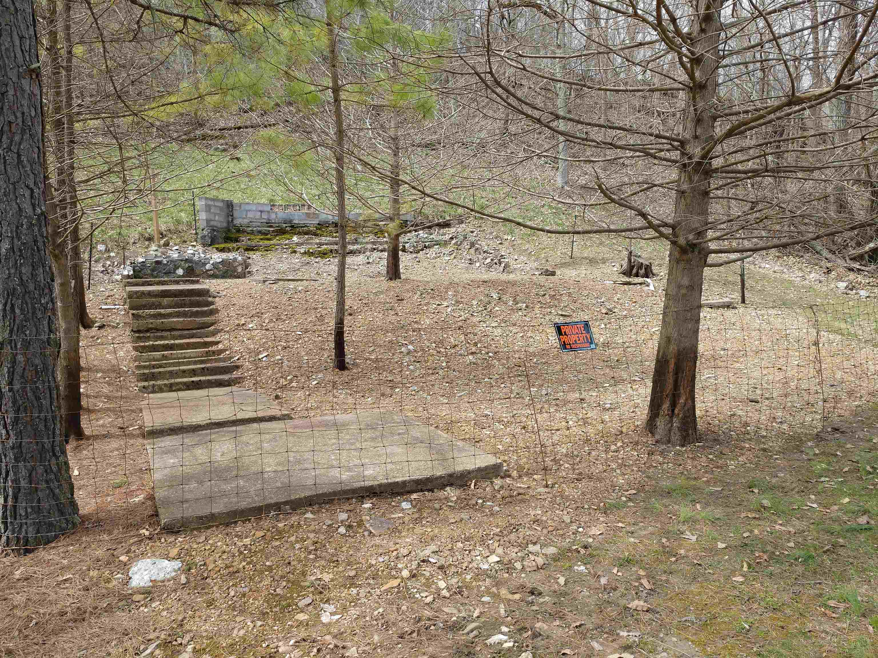 377 Springwood Ter  Hardy, AR