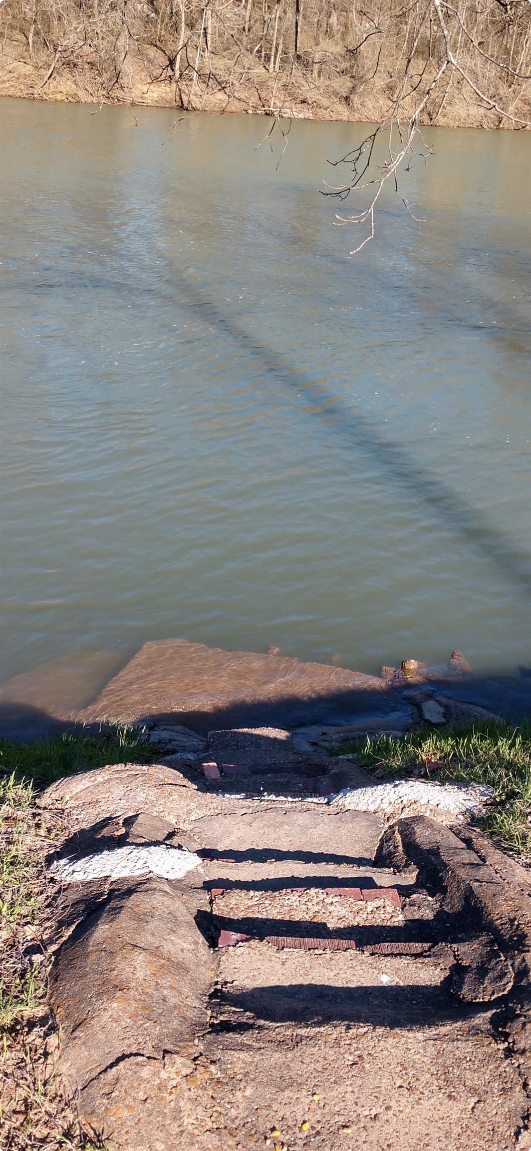 377 Springwood Ter  Hardy, AR