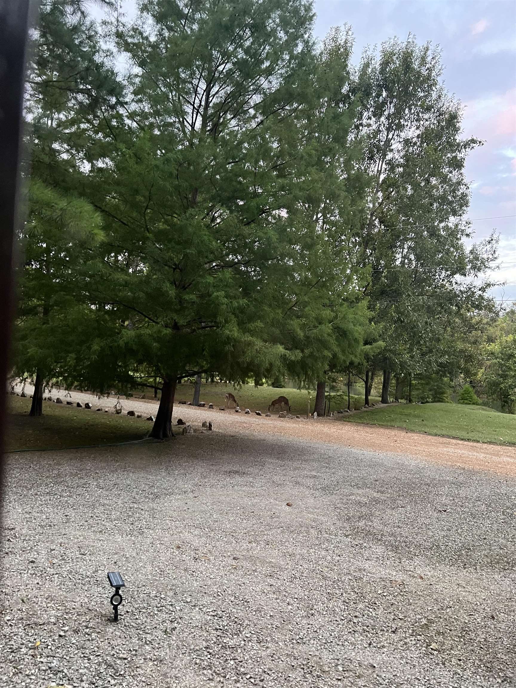 377 Springwood Ter  Hardy, AR