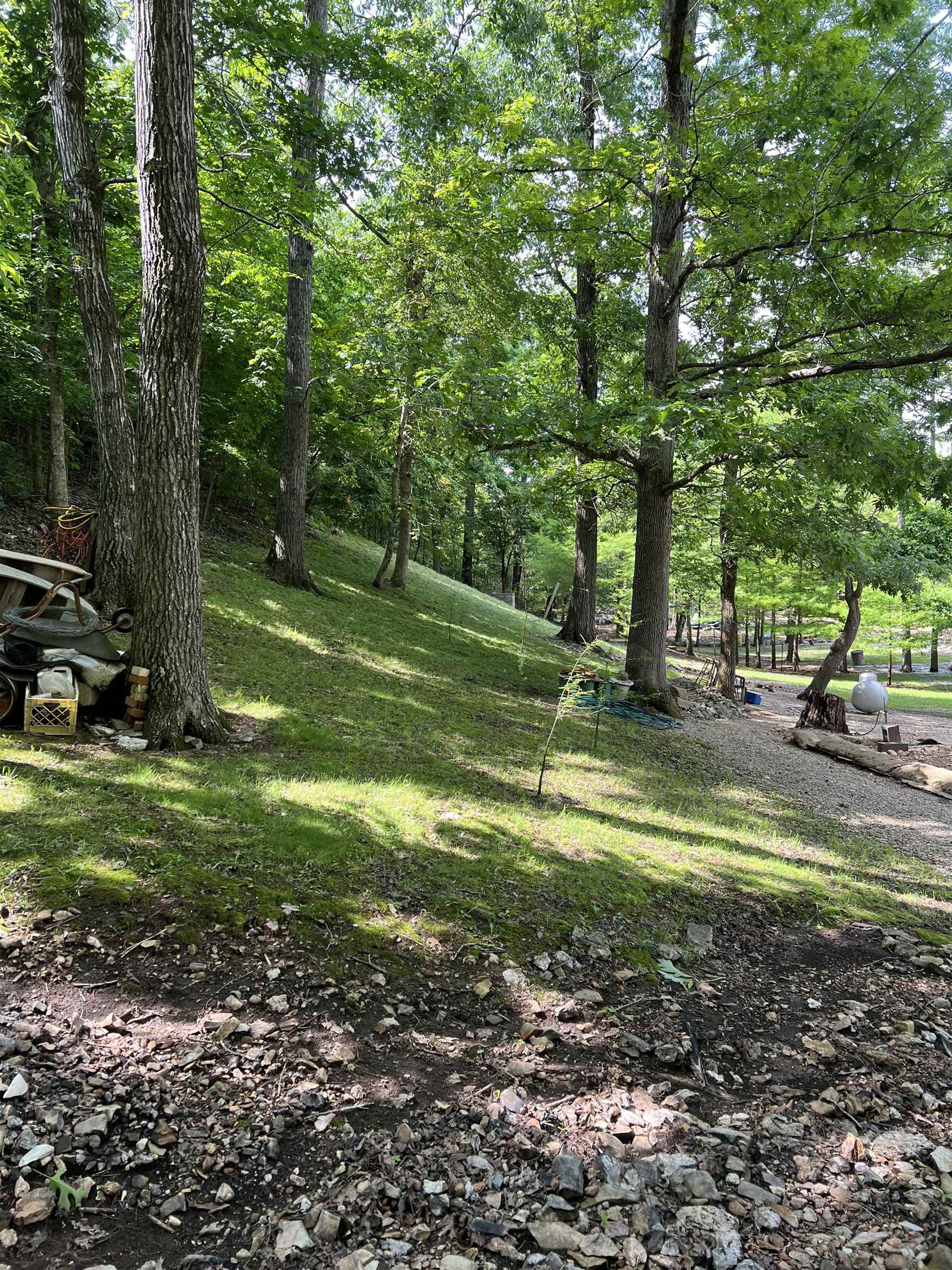 377 Springwood Ter  Hardy, AR