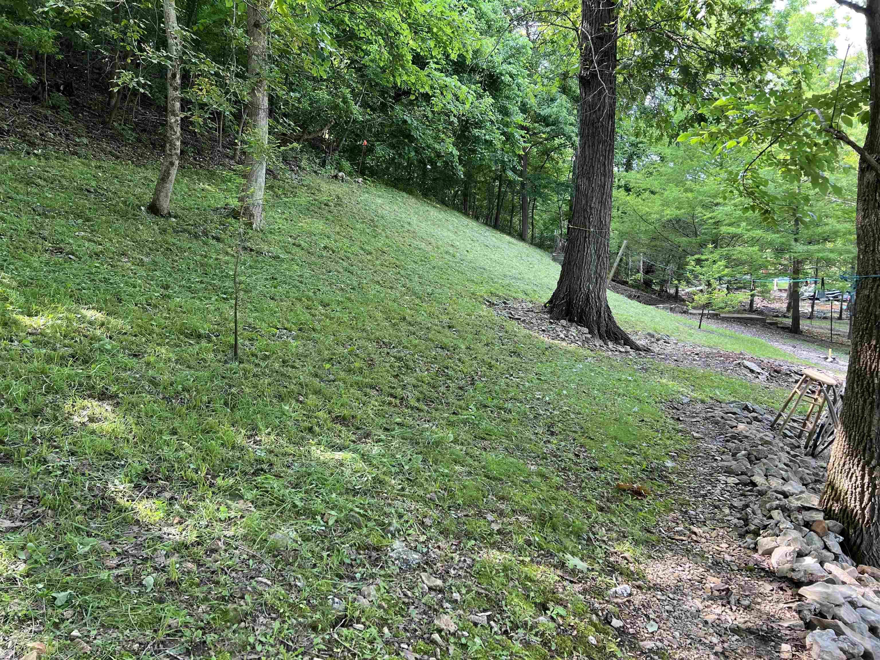 377 Springwood Ter  Hardy, AR