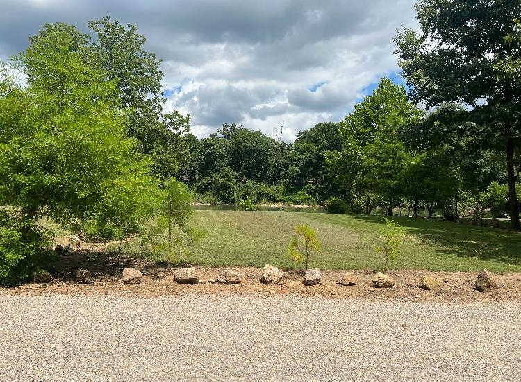 377 Springwood Ter  Hardy, AR