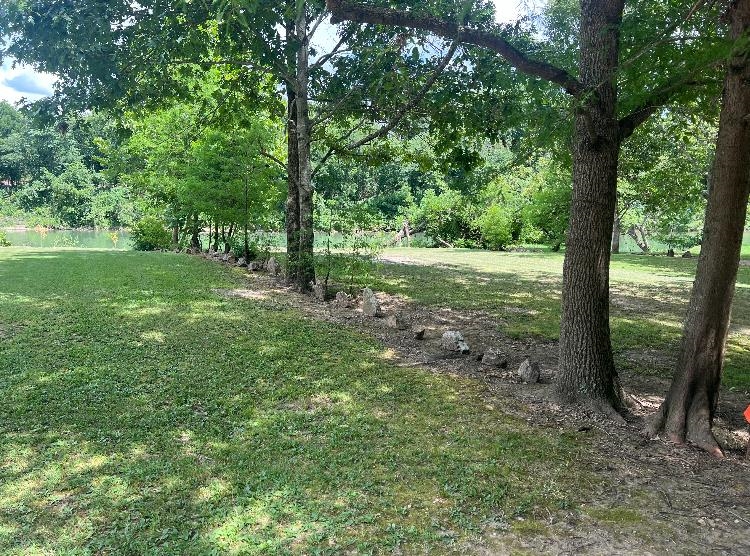 377 Springwood Ter  Hardy, AR