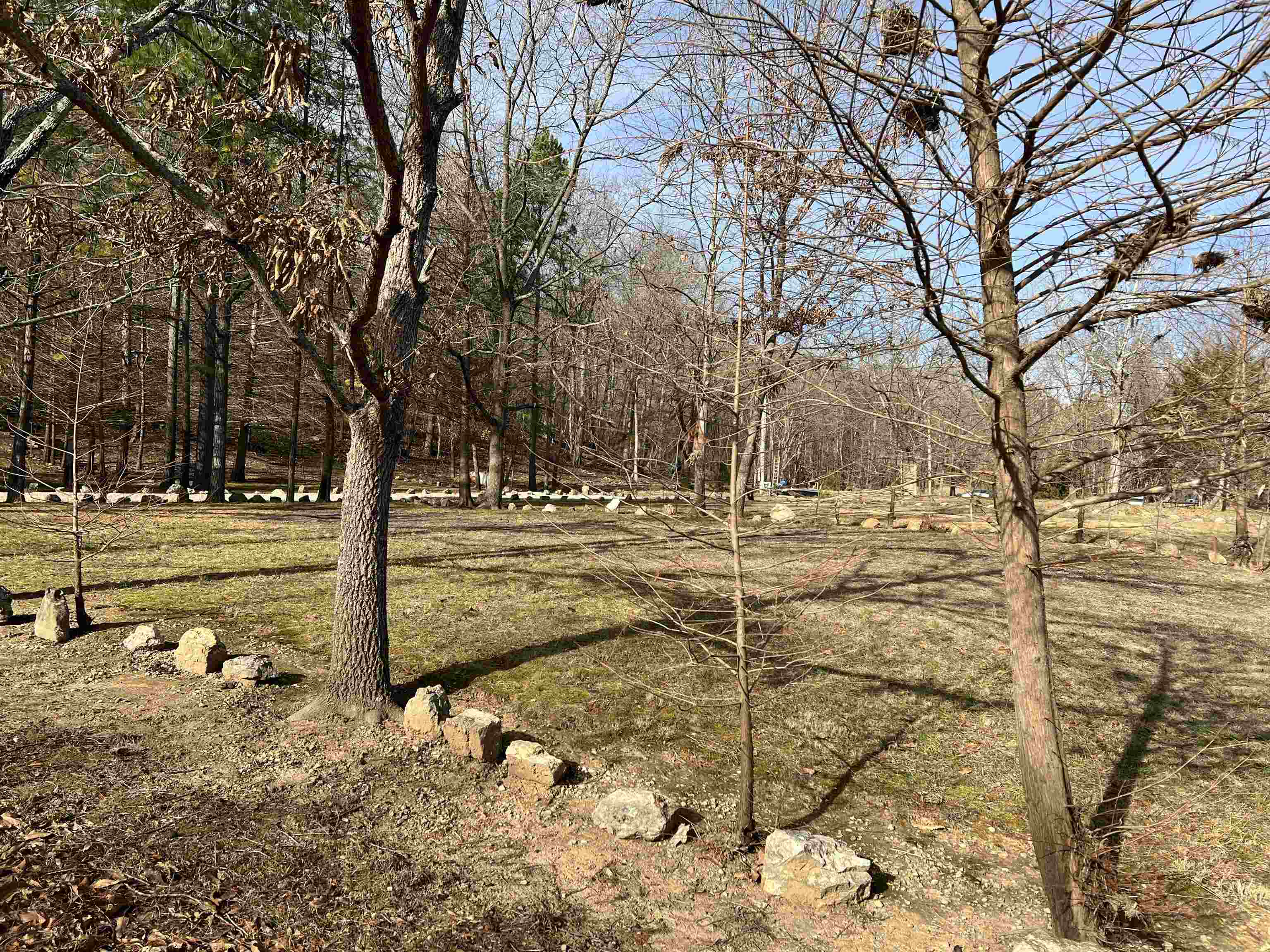 377 Springwood Ter  Hardy, AR