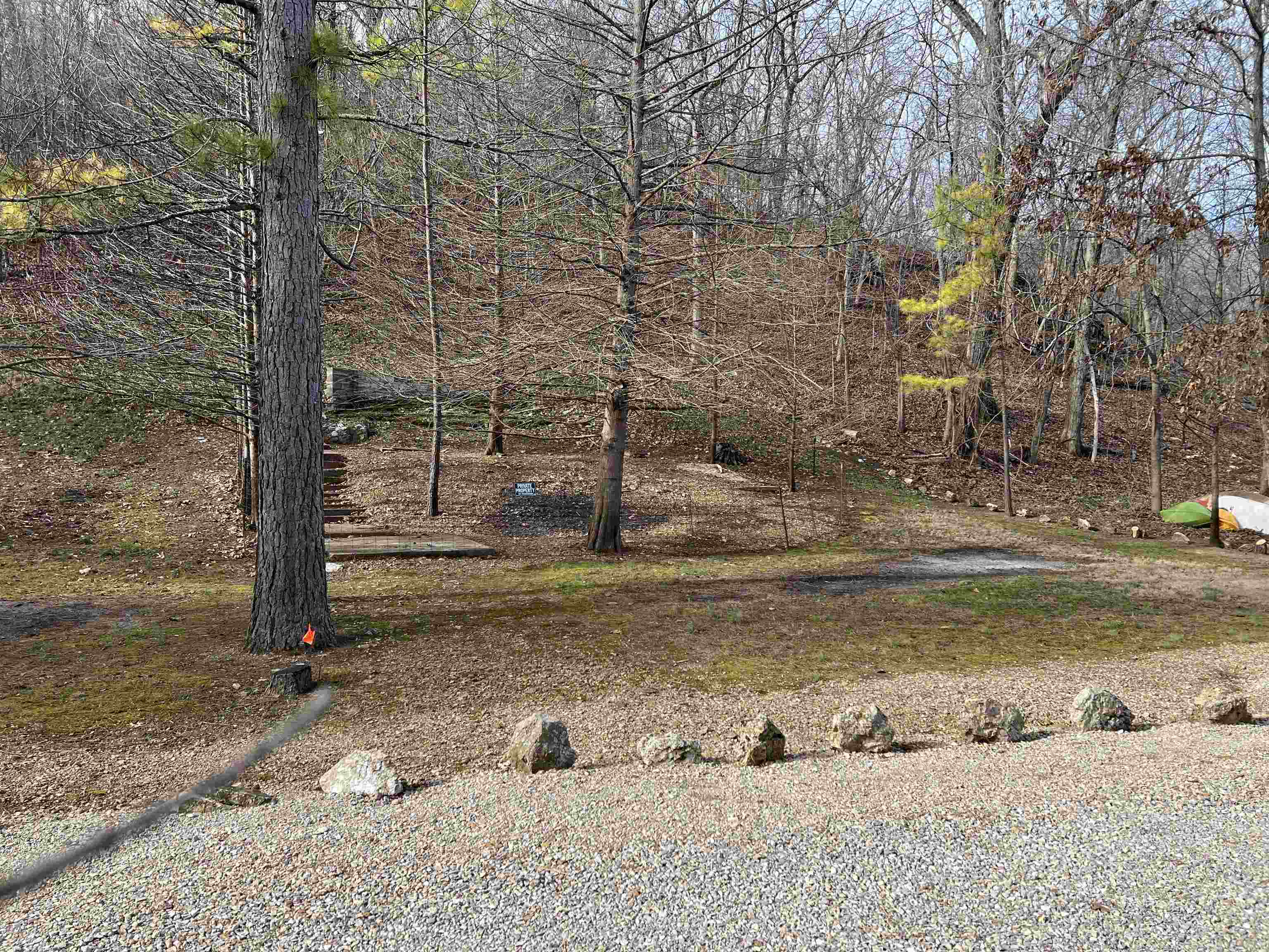 377 Springwood Ter  Hardy, AR