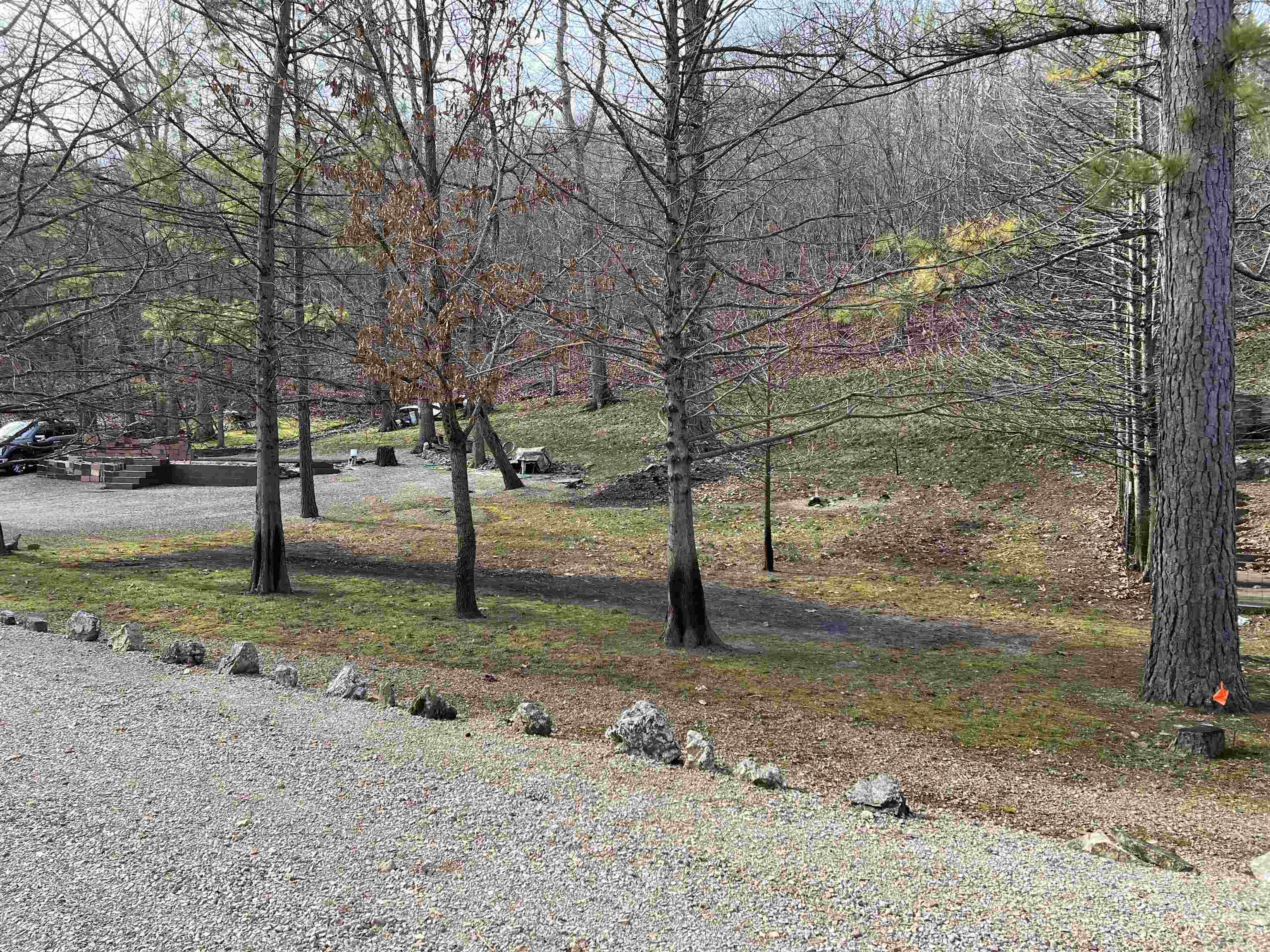 377 Springwood Ter  Hardy, AR