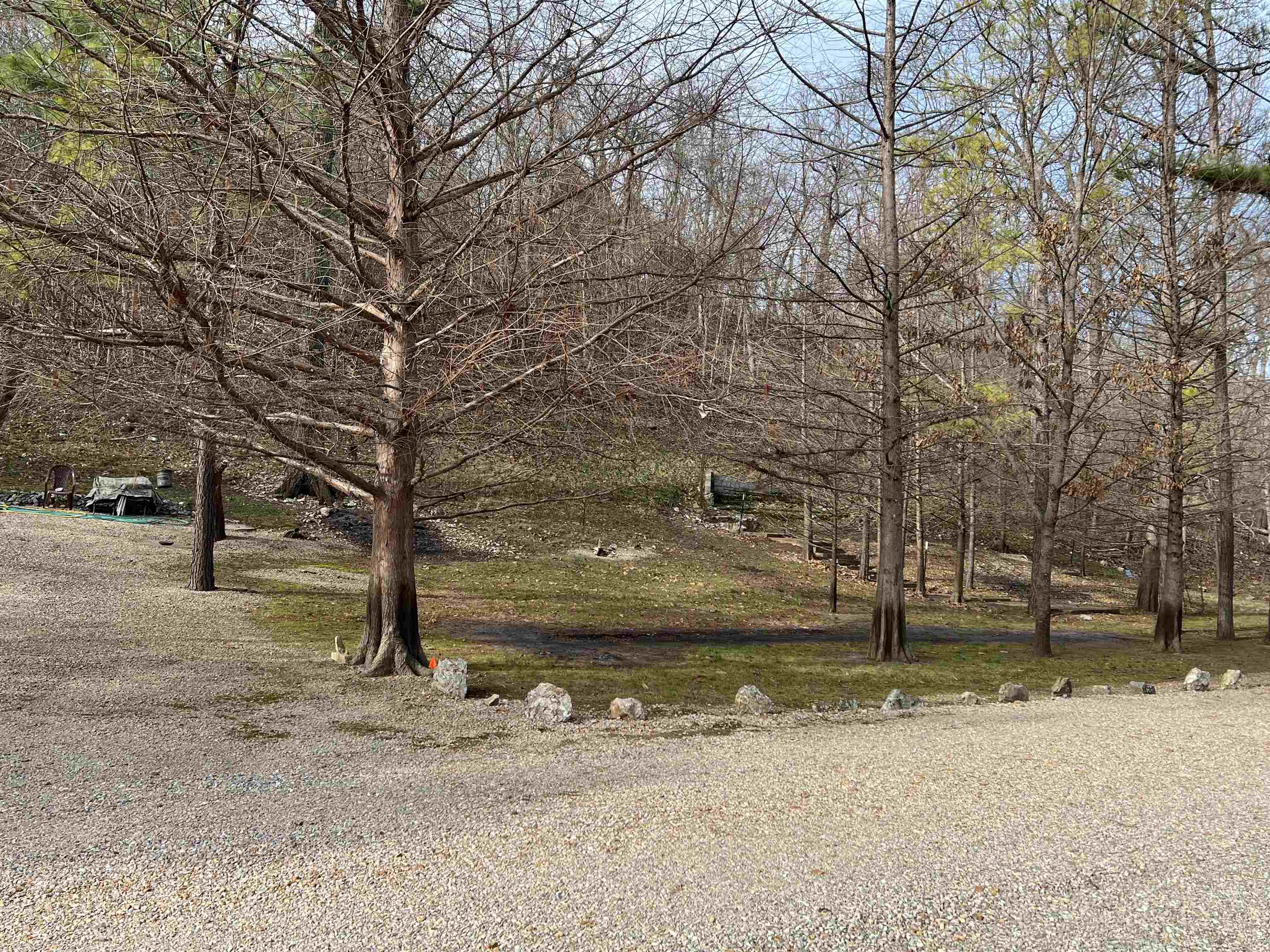 377 Springwood Ter  Hardy, AR