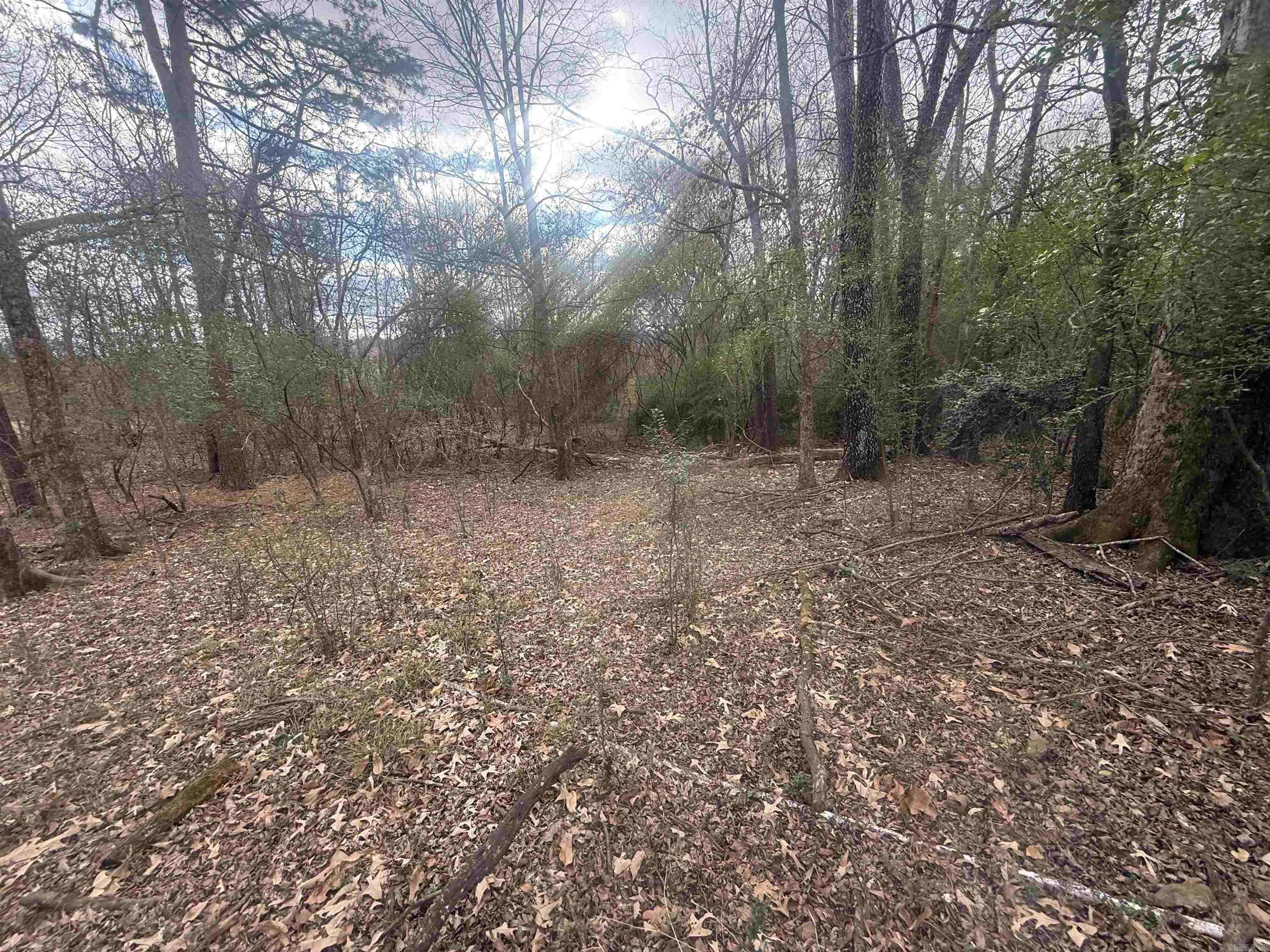 TBD Arlington  Hot Springs, AR