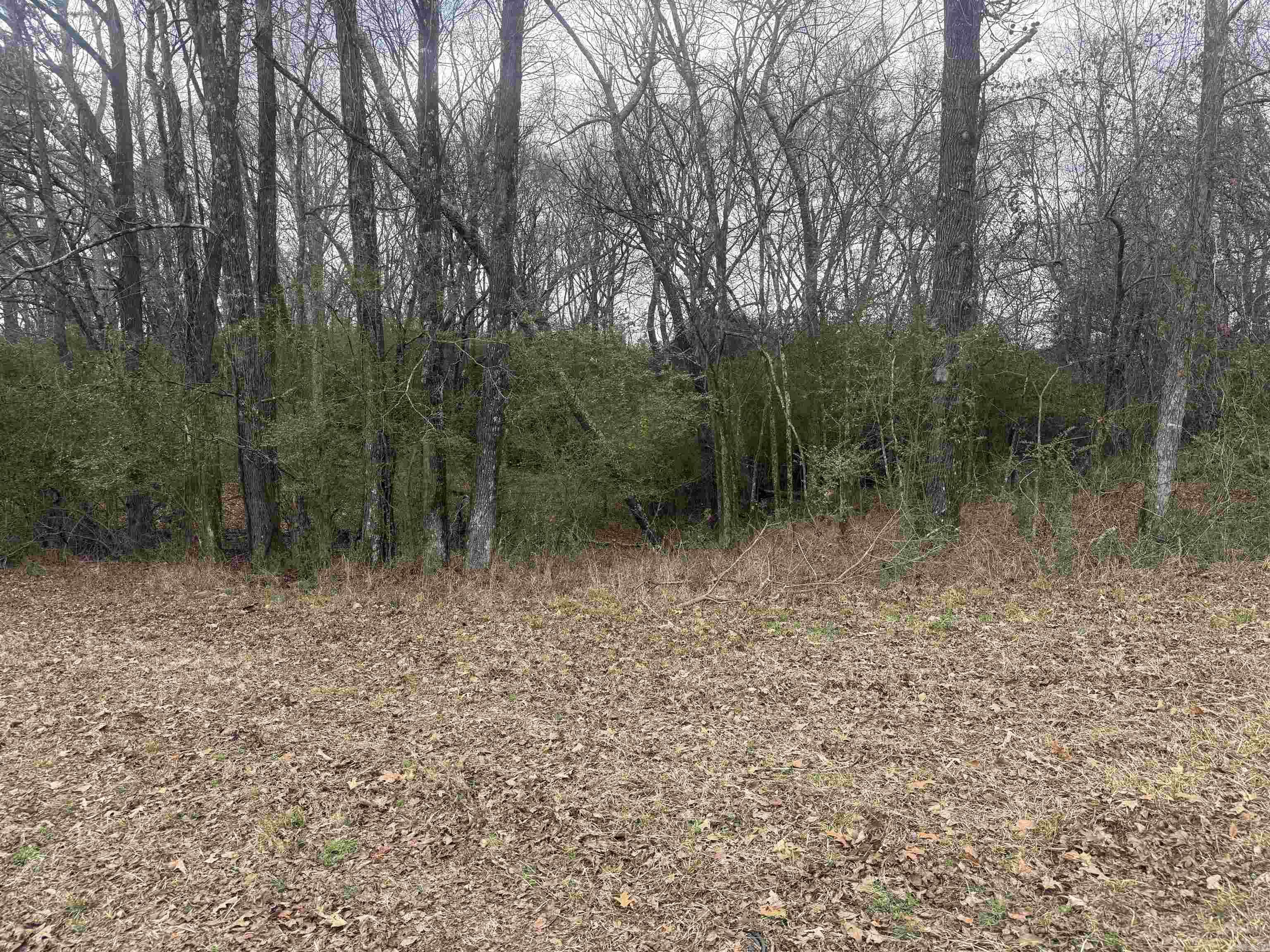 TBD Arlington  Hot Springs, AR