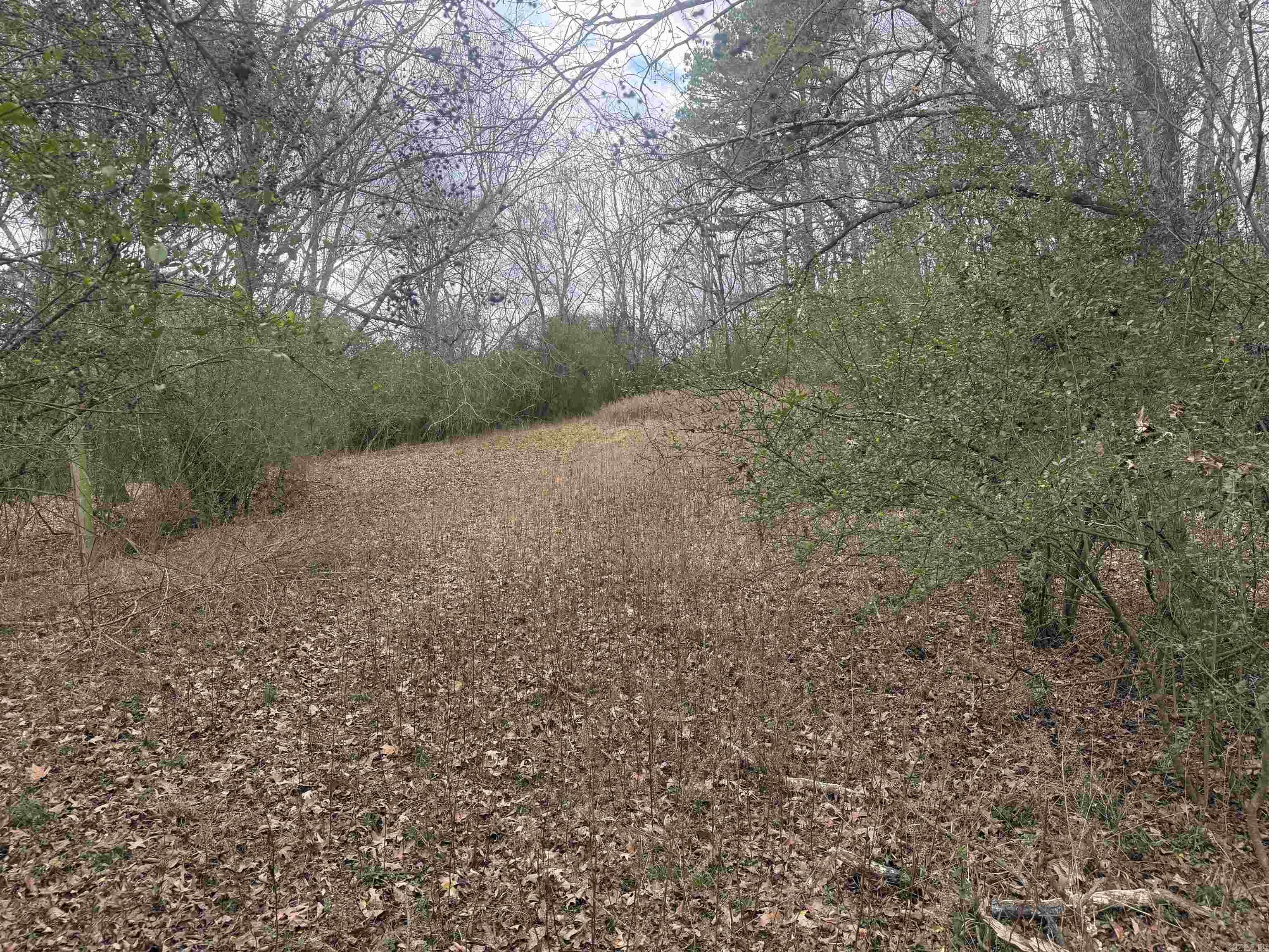 TBD Arlington  Hot Springs, AR