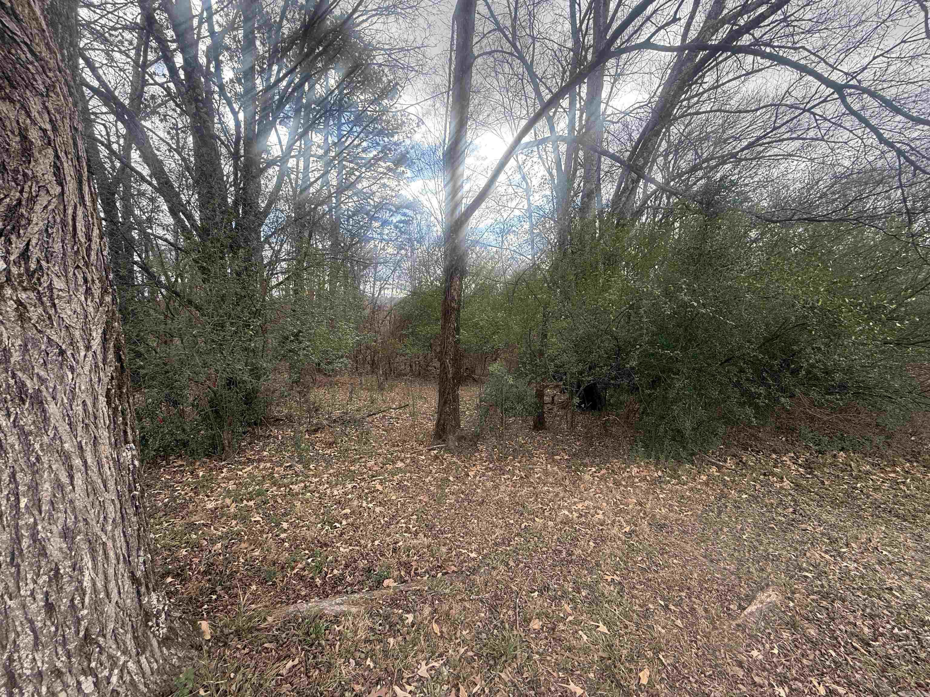 TBD Arlington  Hot Springs, AR