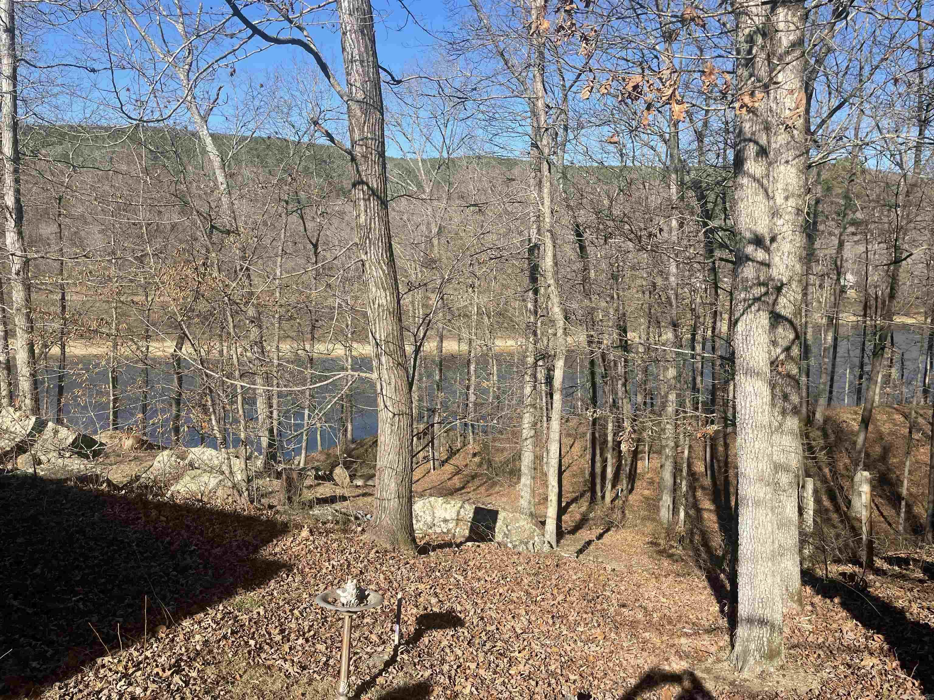 110 Lake  Drasco, AR