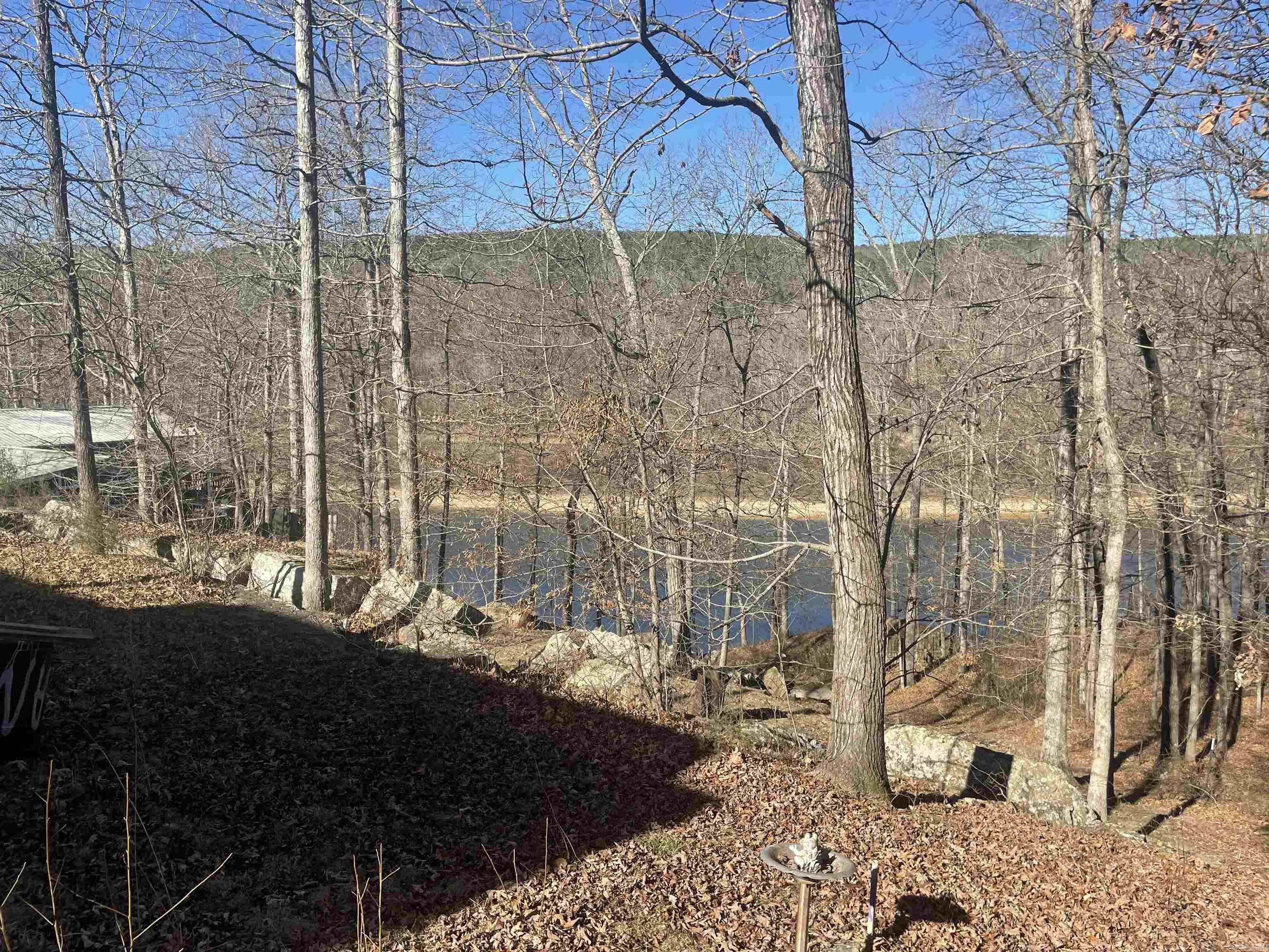 110 Lake  Drasco, AR