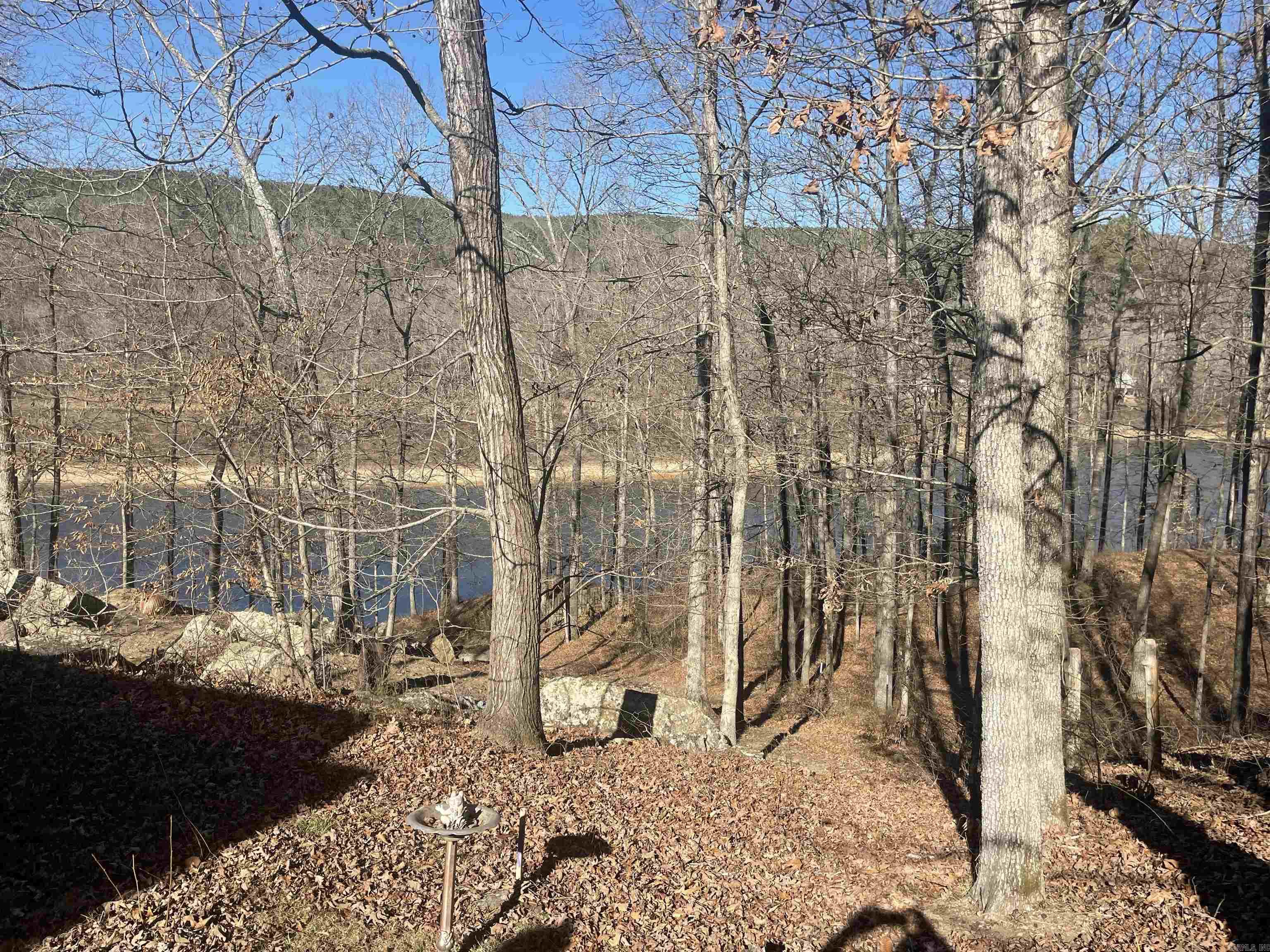 110 Lake  Drasco, AR