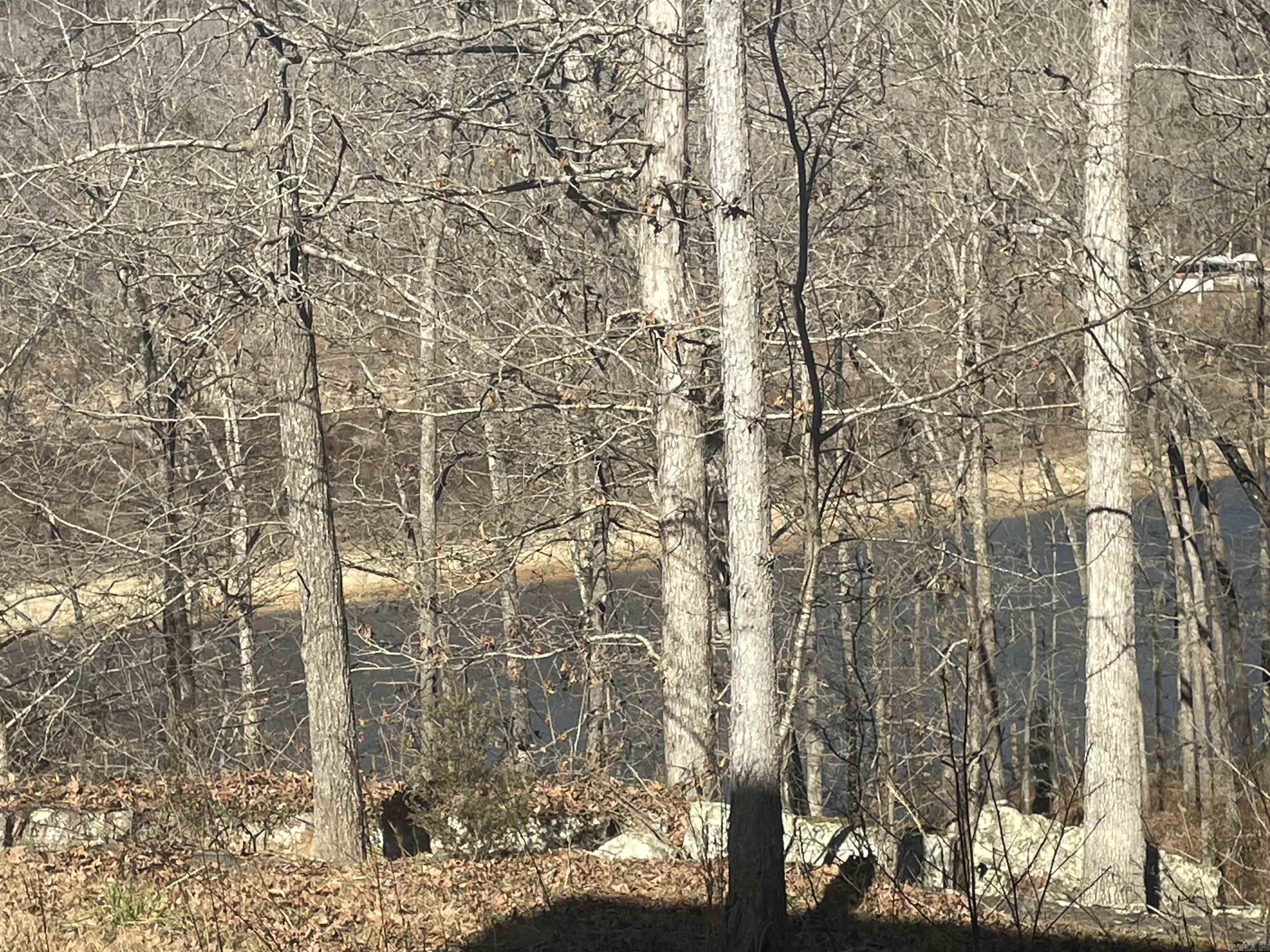 110 Lake  Drasco, AR