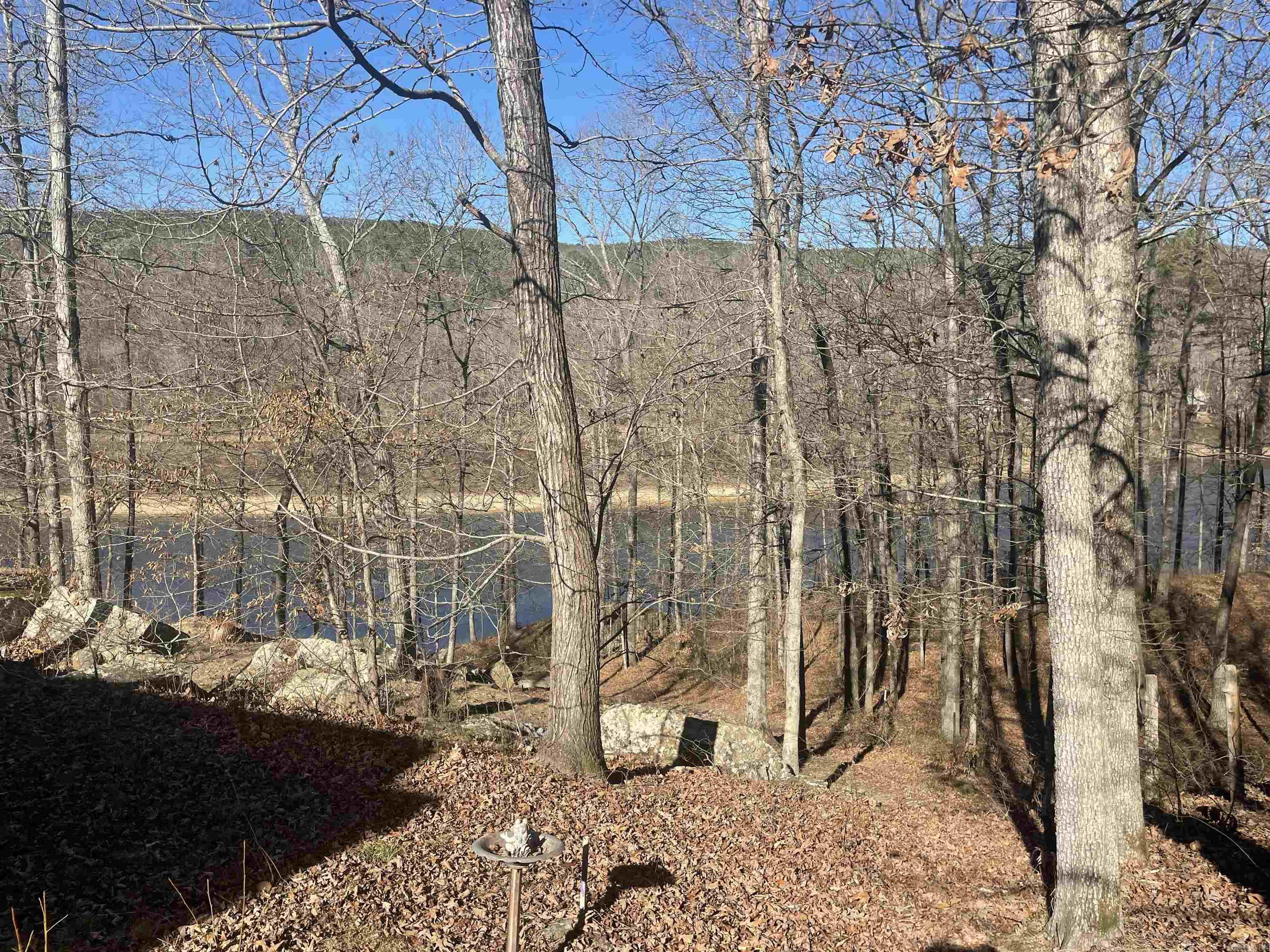 110 Lake  Drasco, AR