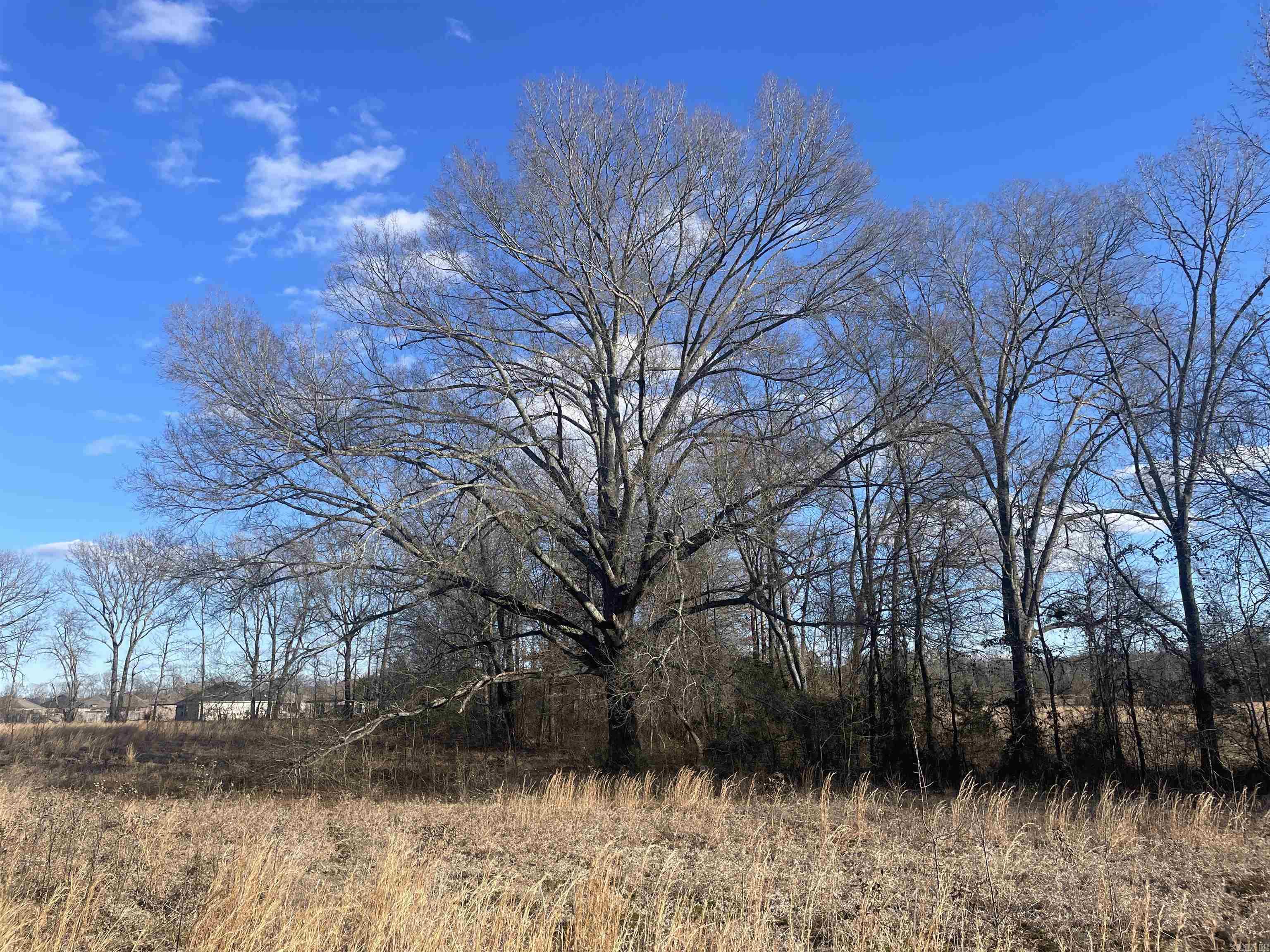  Weatherwood  Greenbrier, AR