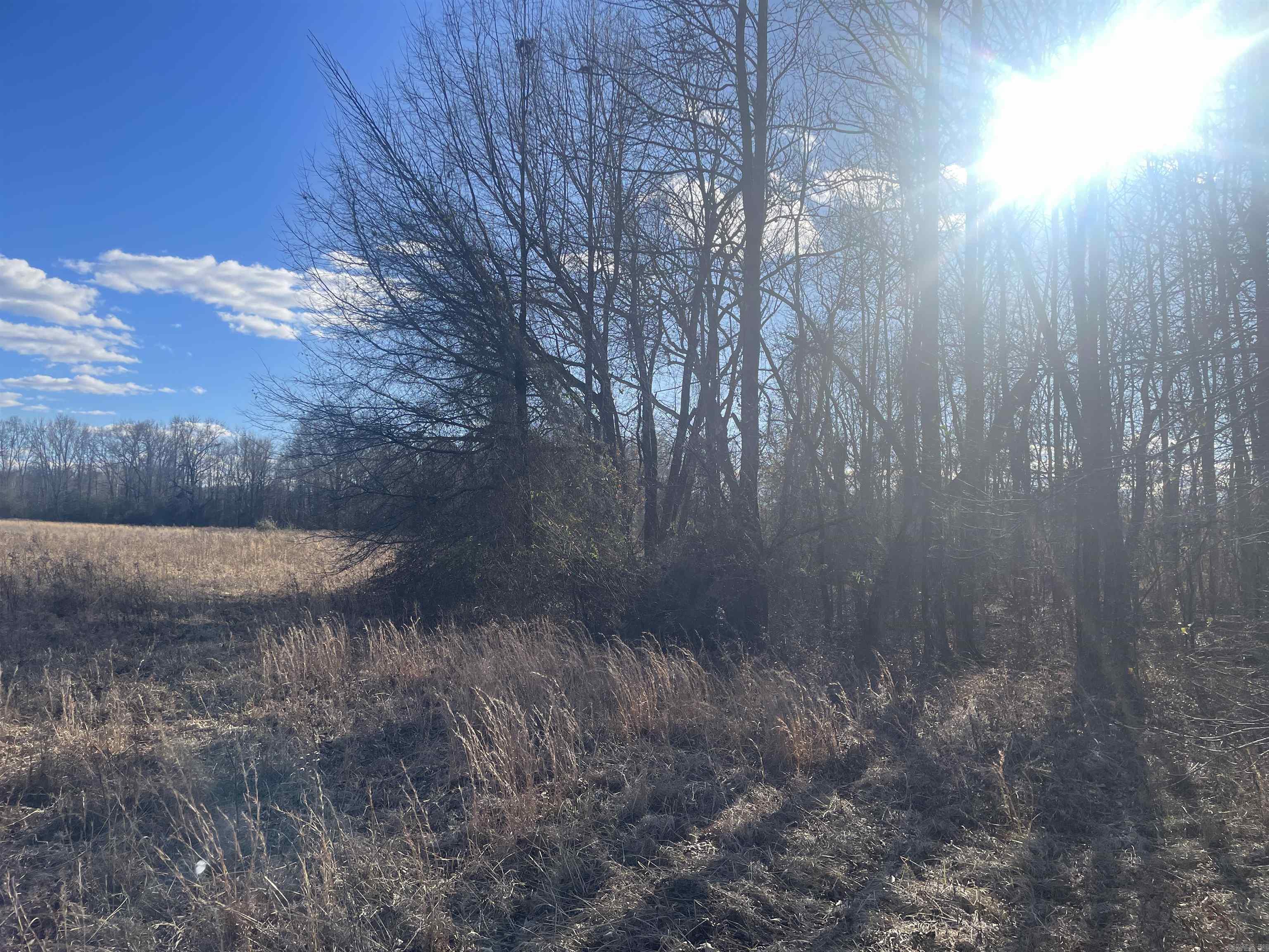  Weatherwood  Greenbrier, AR