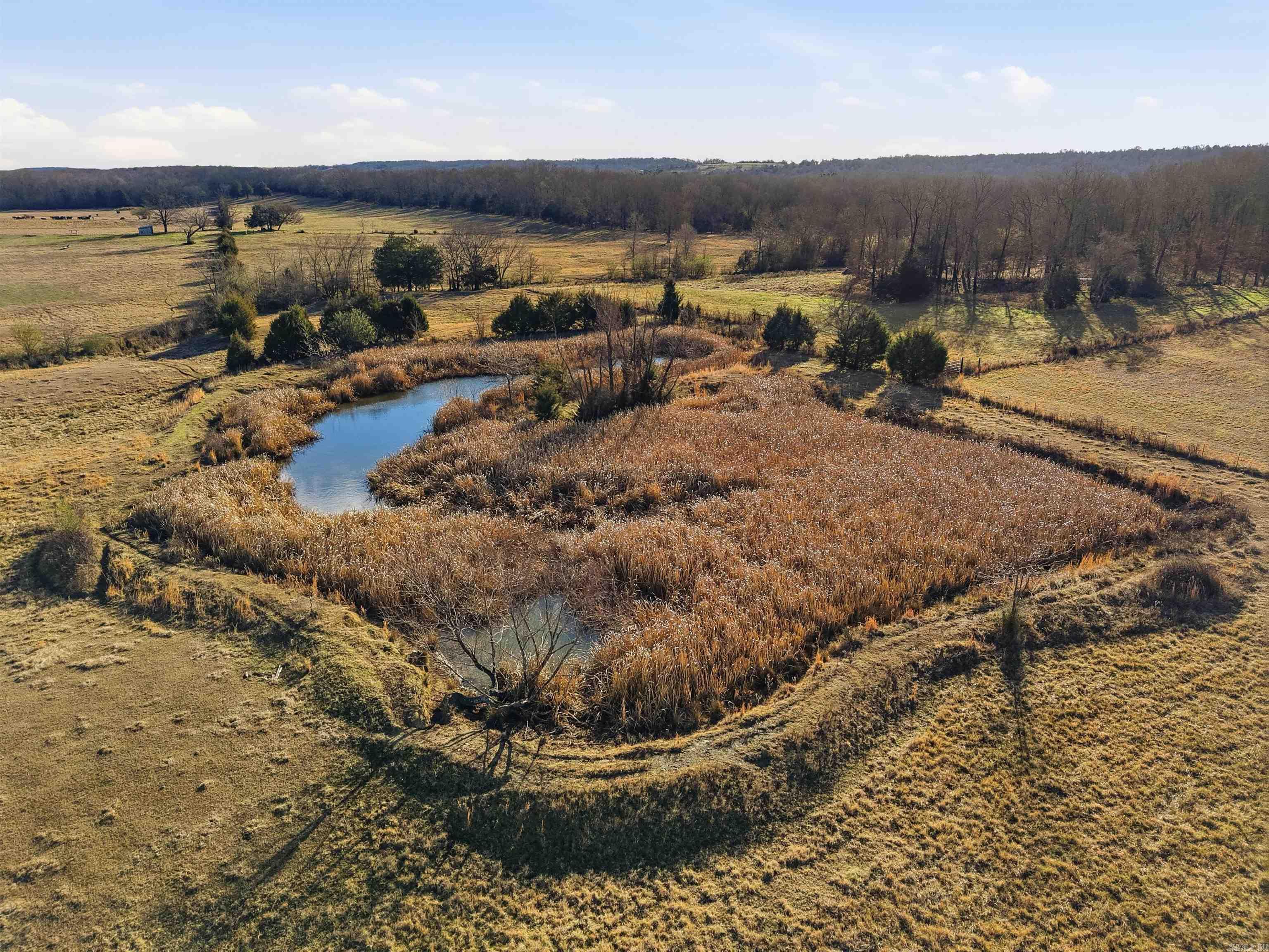 73 Protho Rd  Vilonia, AR