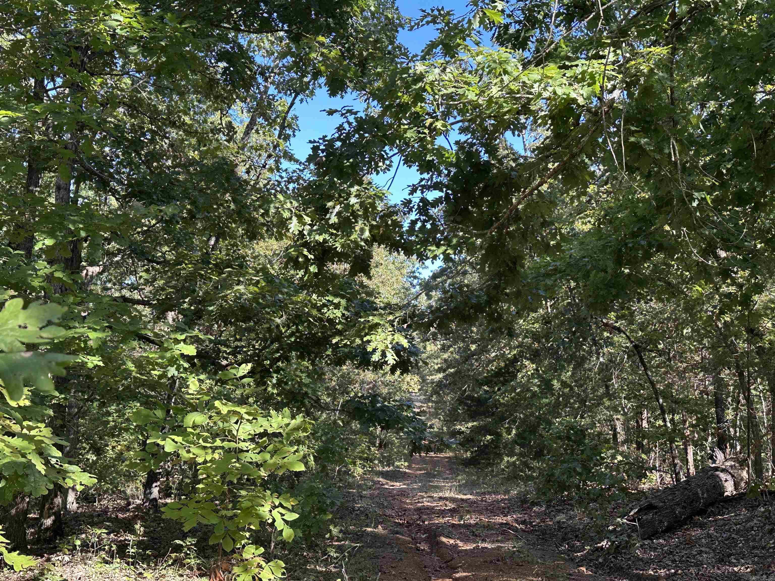 1609 Old Strawberry Lane  Horseshoe Bend, AR