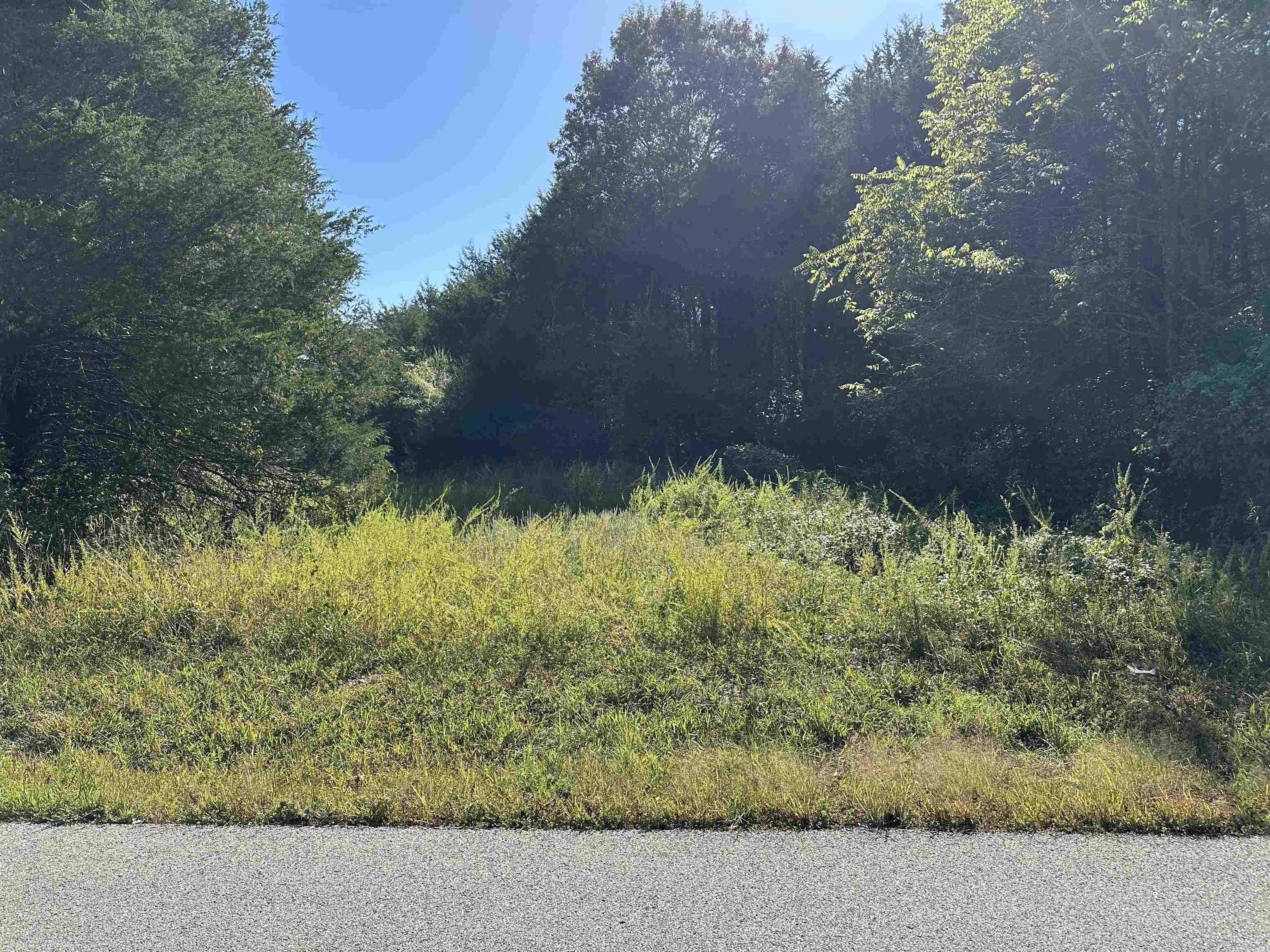 1609 Old Strawberry Lane  Horseshoe Bend, AR