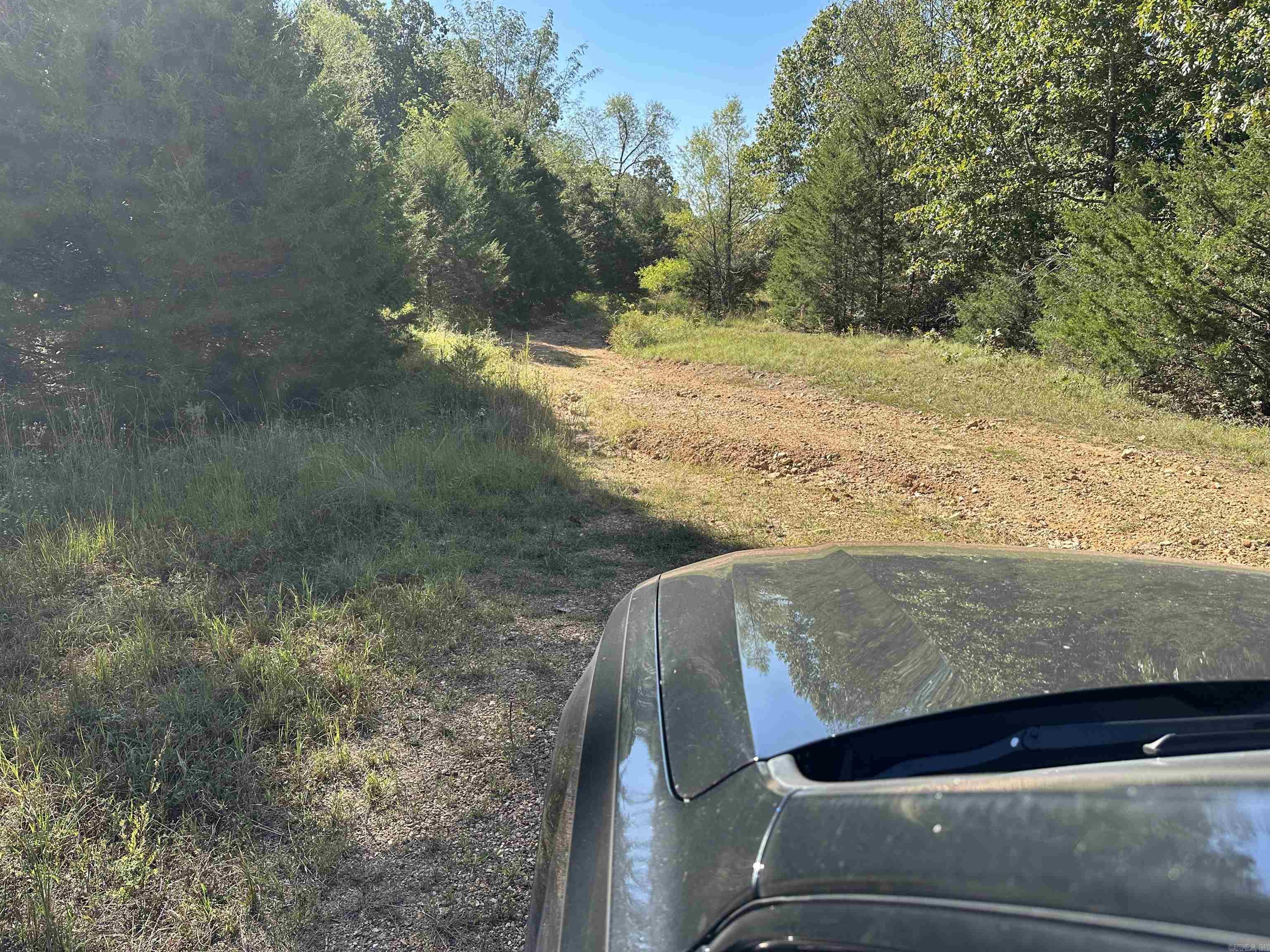 1609 Old Strawberry Lane  Horseshoe Bend, AR