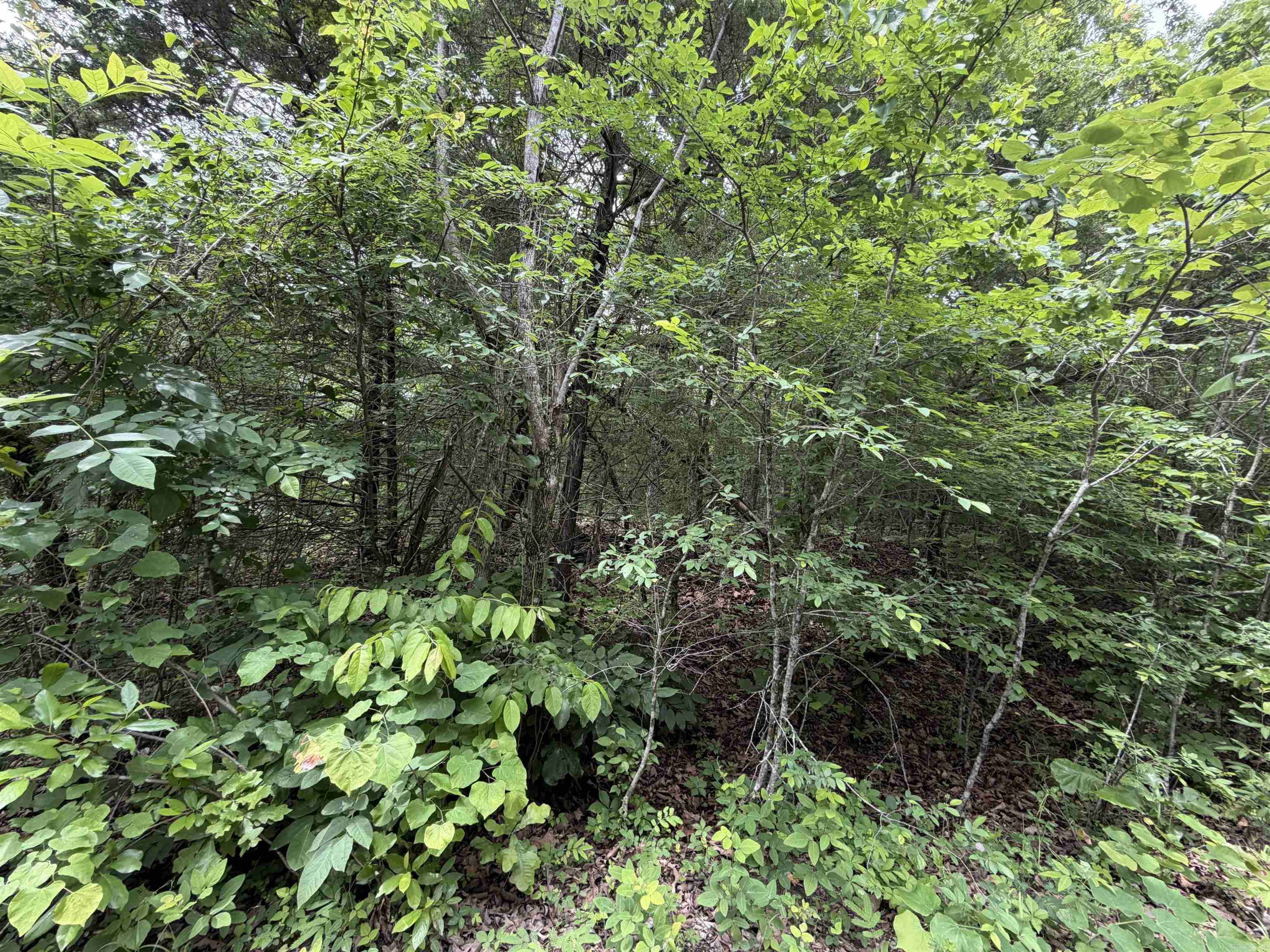 001 Clark Lane  Horseshoe Bend, AR