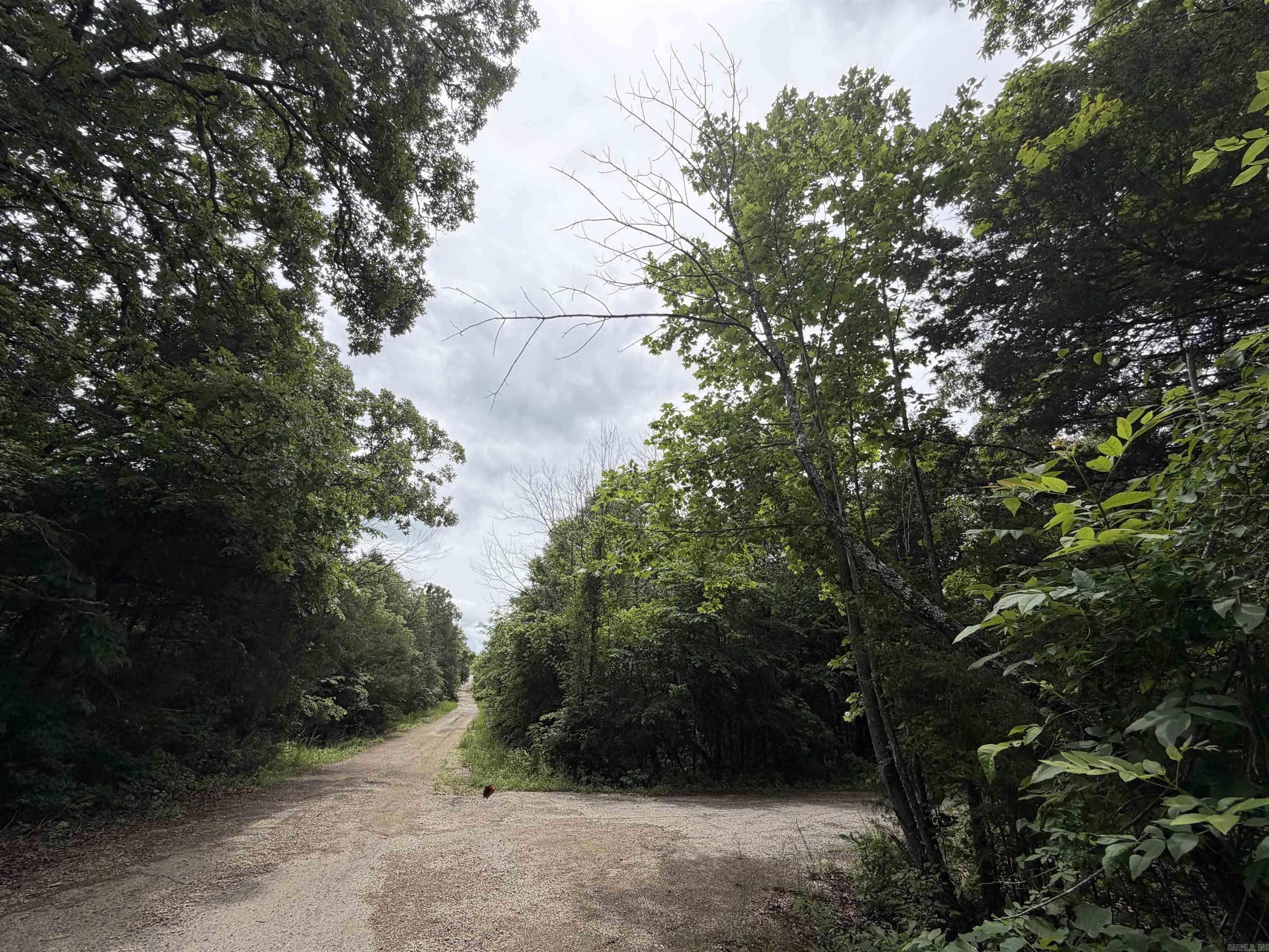 001 Clark Lane  Horseshoe Bend, AR