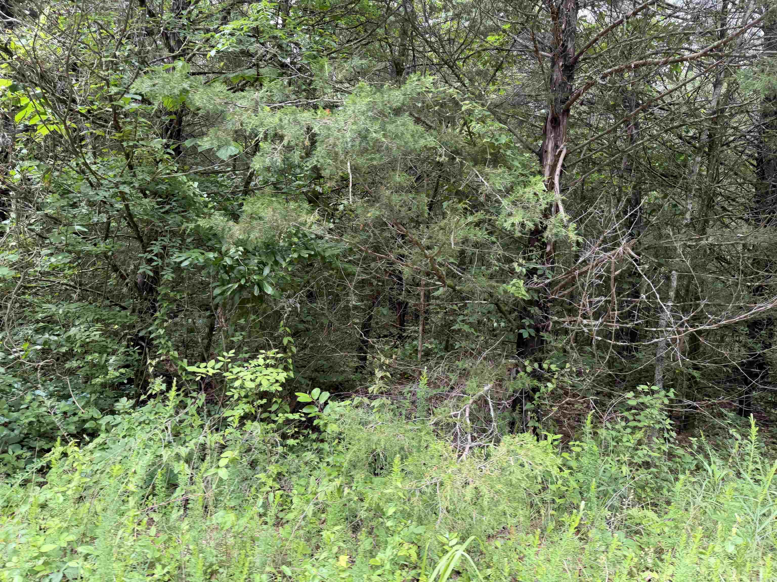 001 Clark Lane  Horseshoe Bend, AR