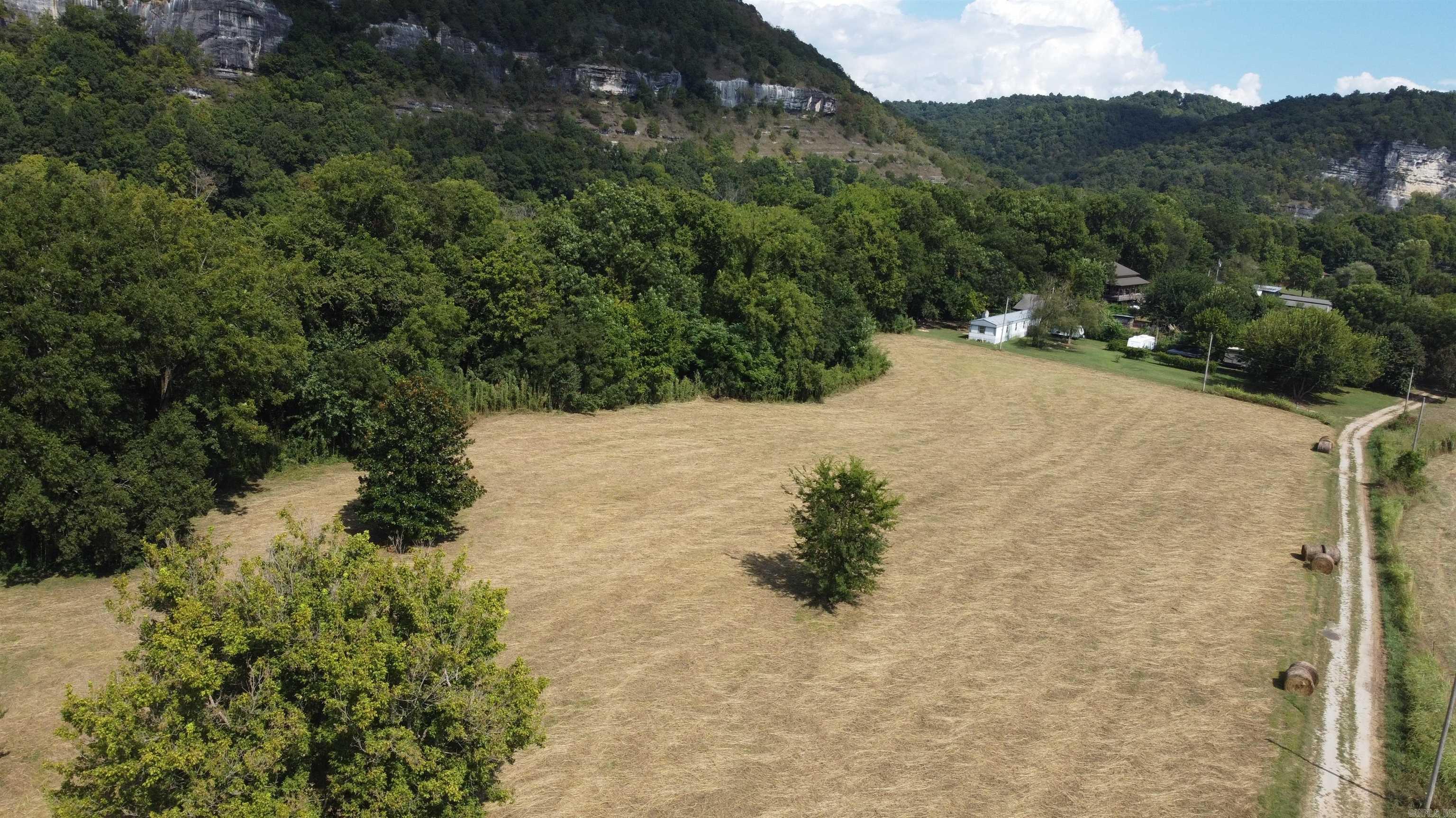 #2 Jellon  Mountain View, AR