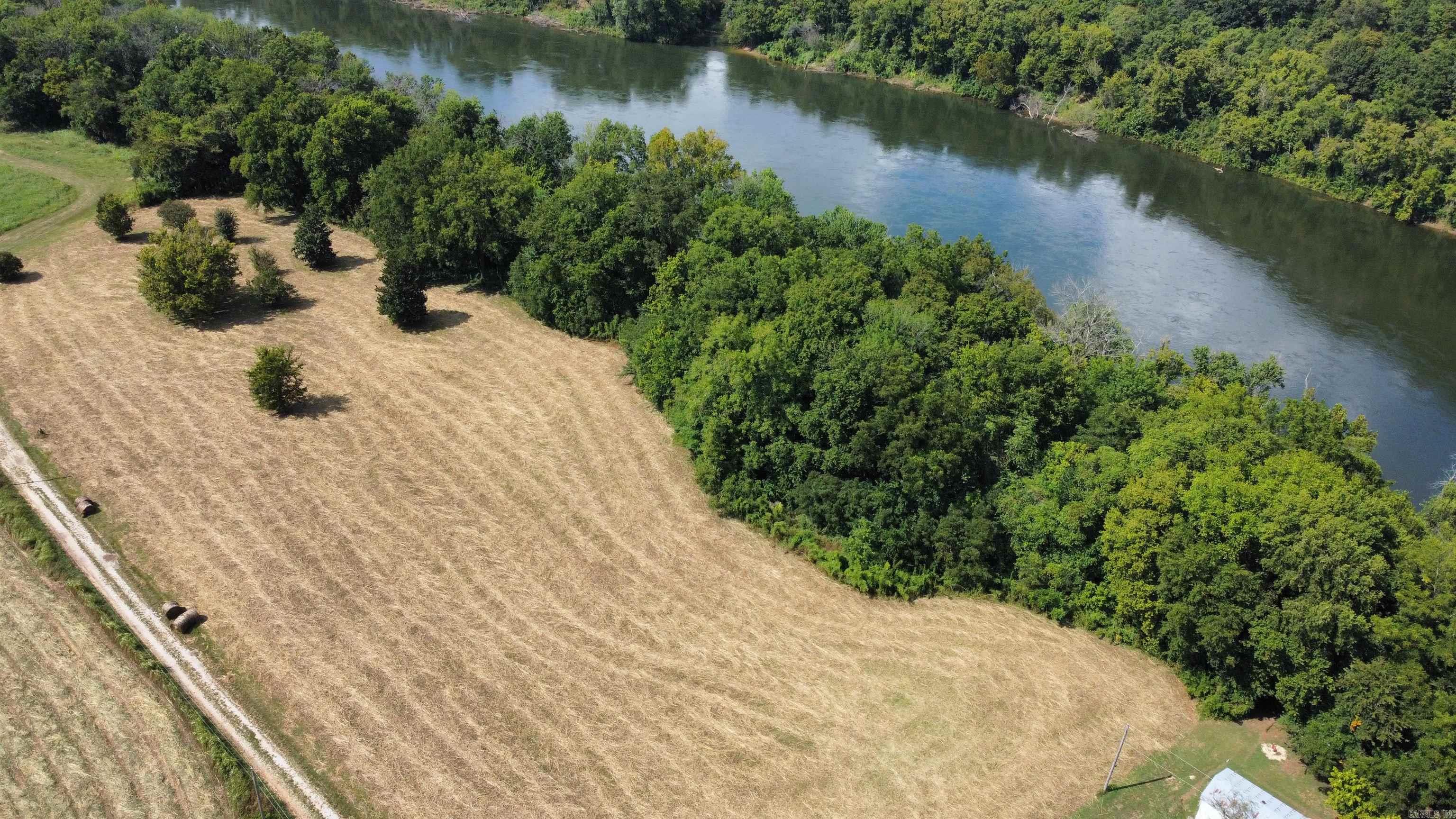 #2 Jellon  Mountain View, AR