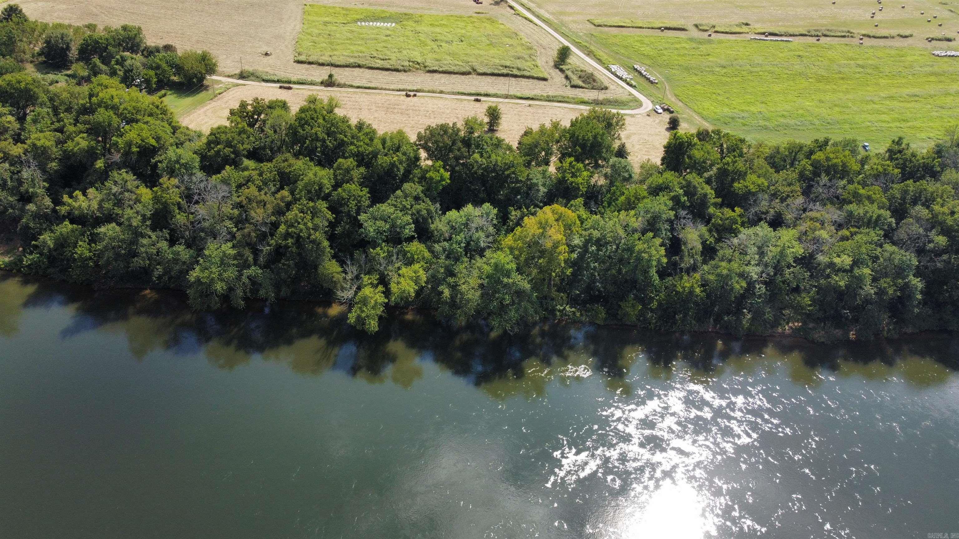 #2 Jellon  Mountain View, AR