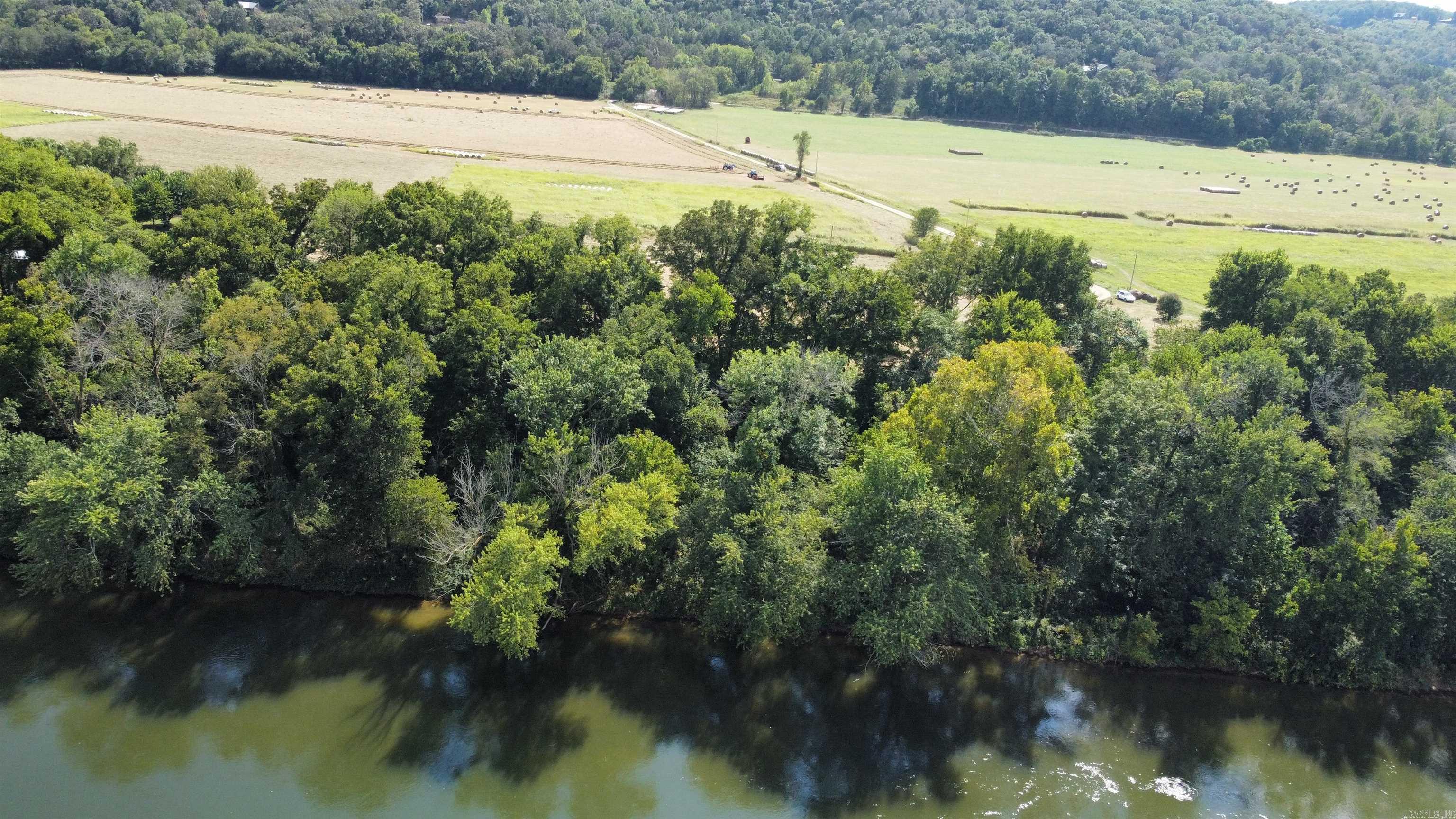 #2 Jellon  Mountain View, AR