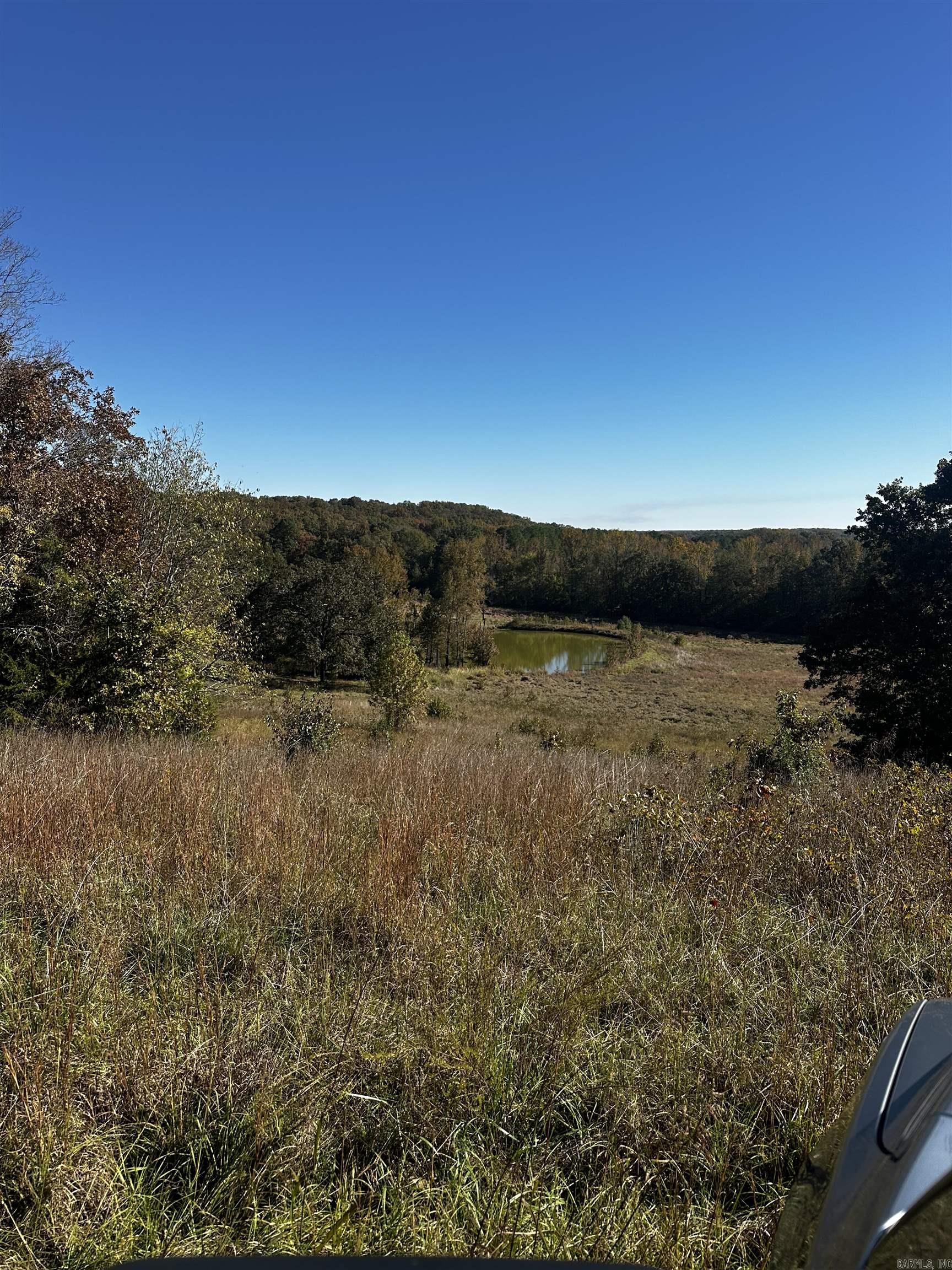 125 Poindexter  McRae, AR