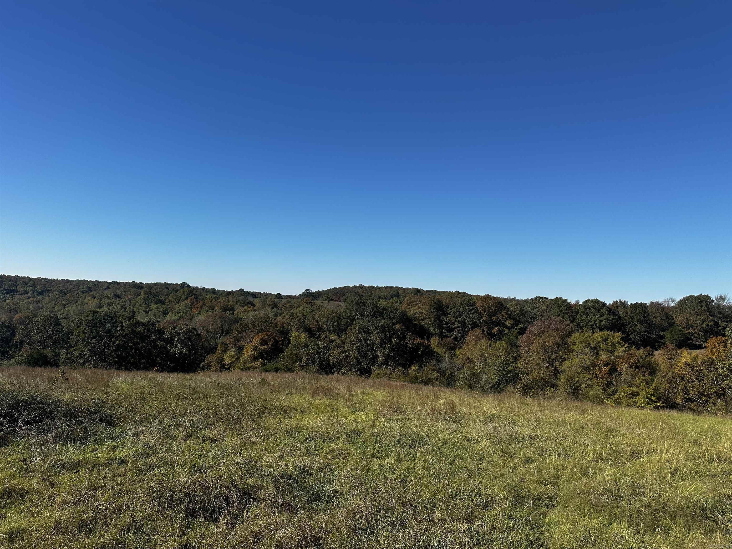 125 Poindexter  McRae, AR