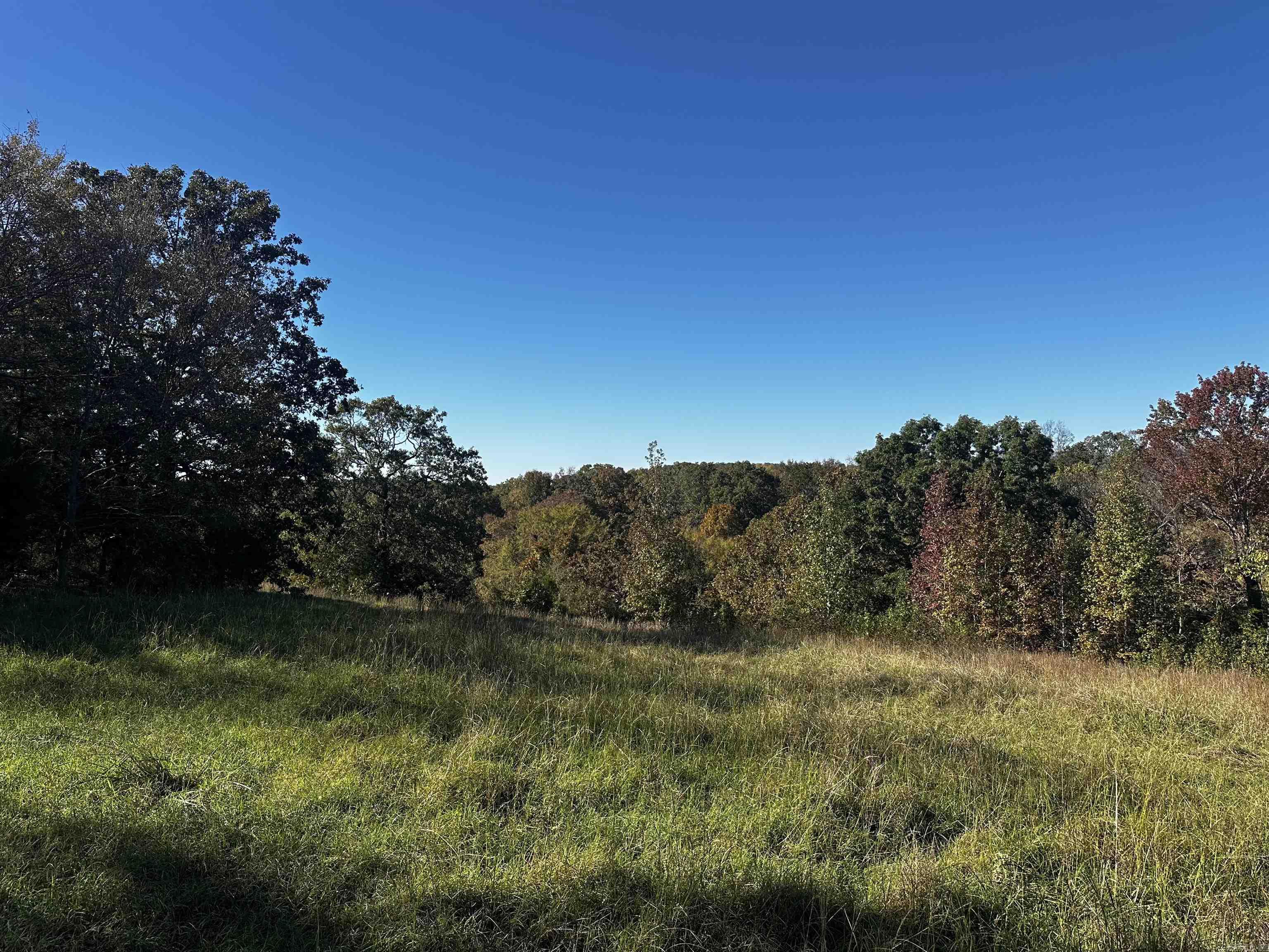 125 Poindexter  McRae, AR