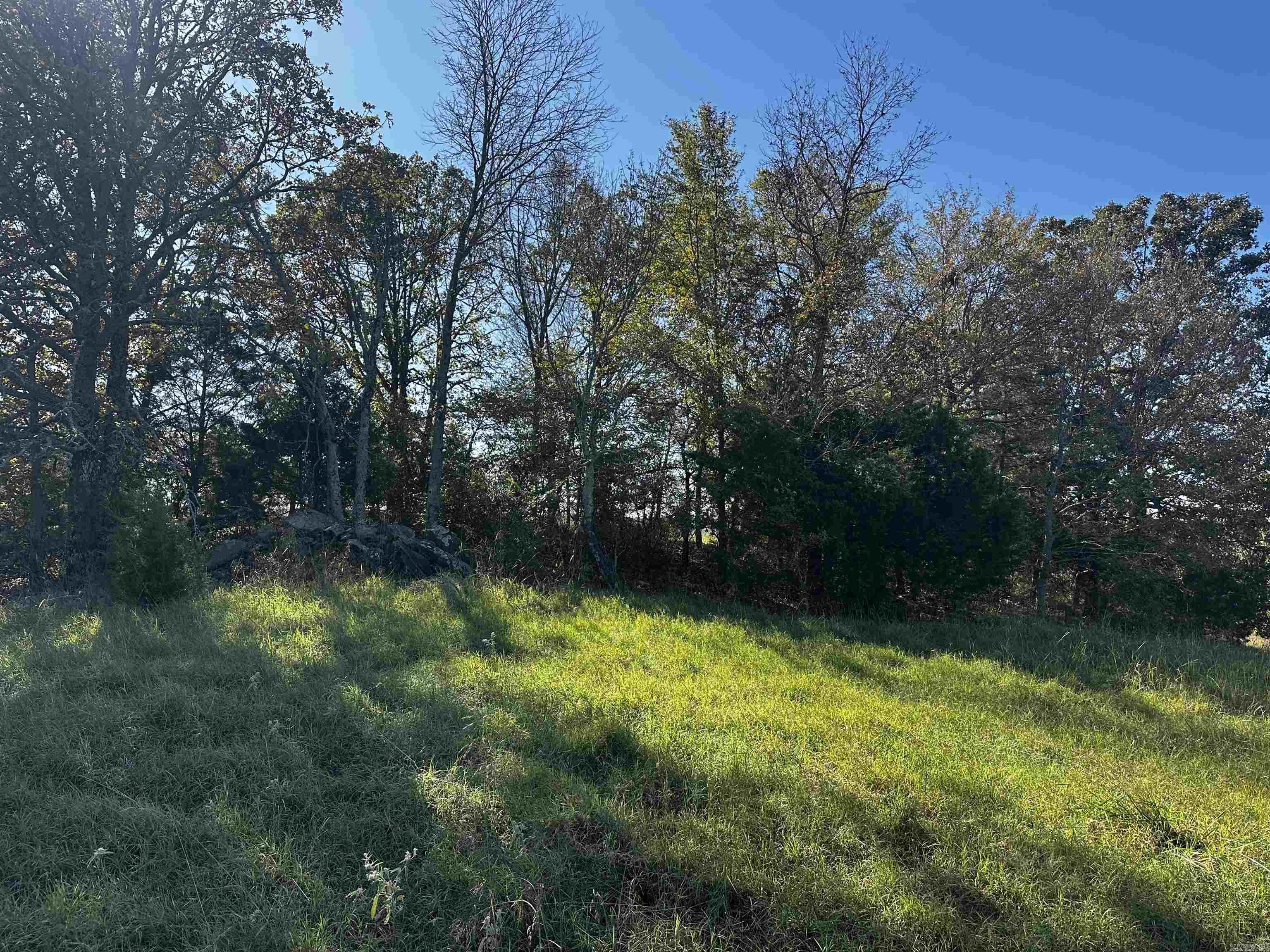 125 Poindexter  McRae, AR