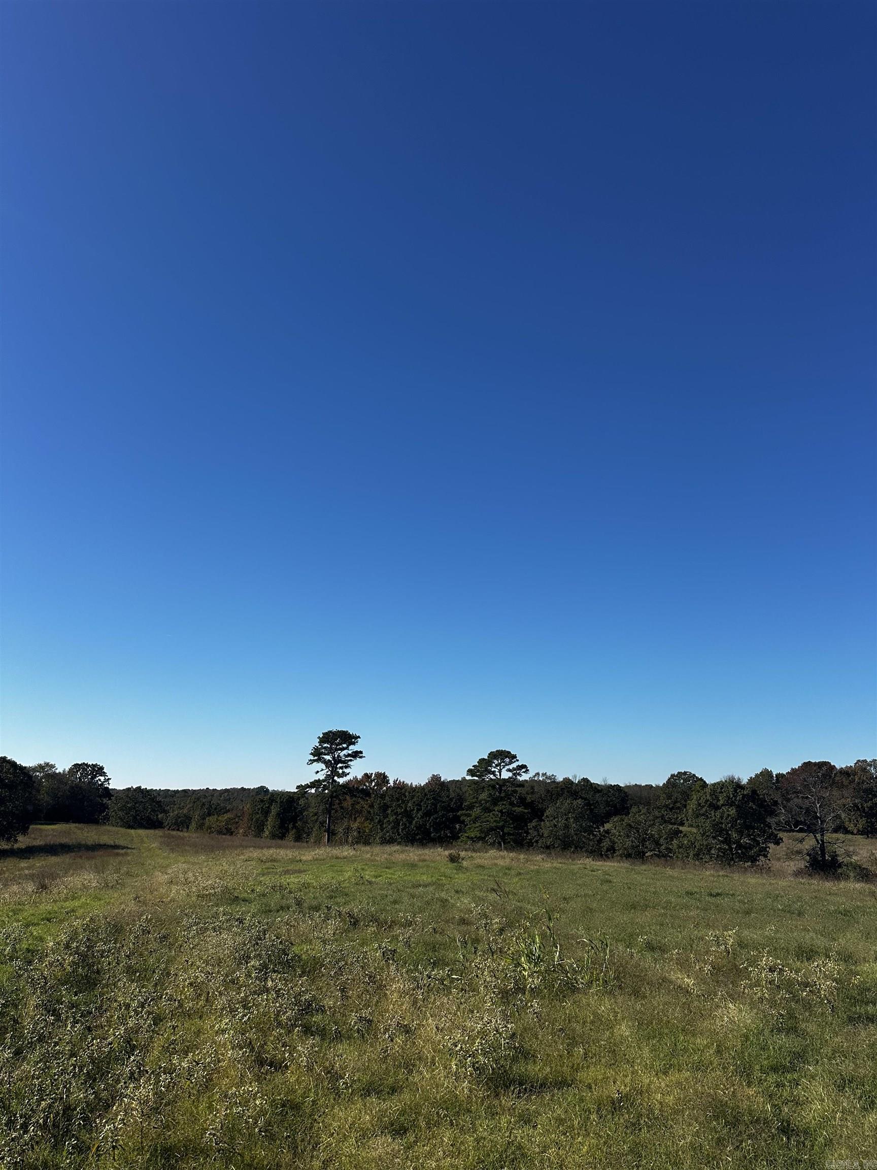 125 Poindexter  McRae, AR