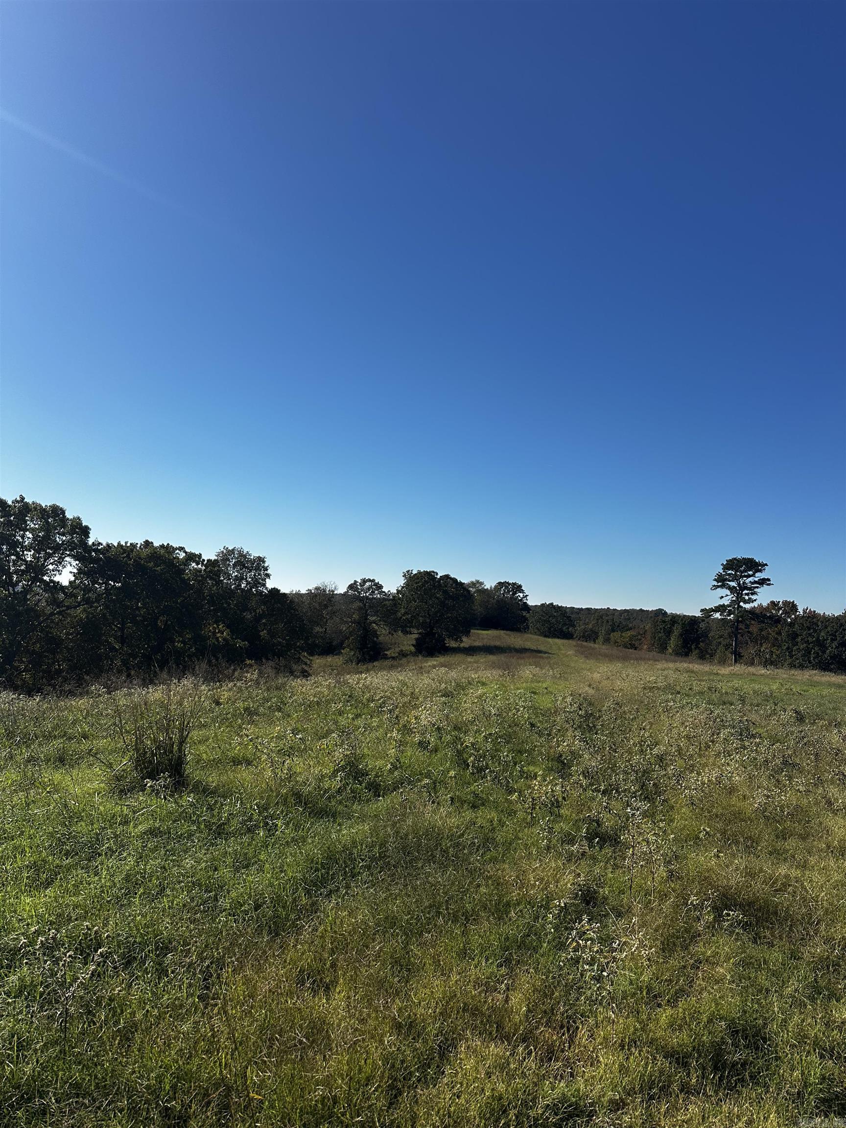 125 Poindexter  McRae, AR