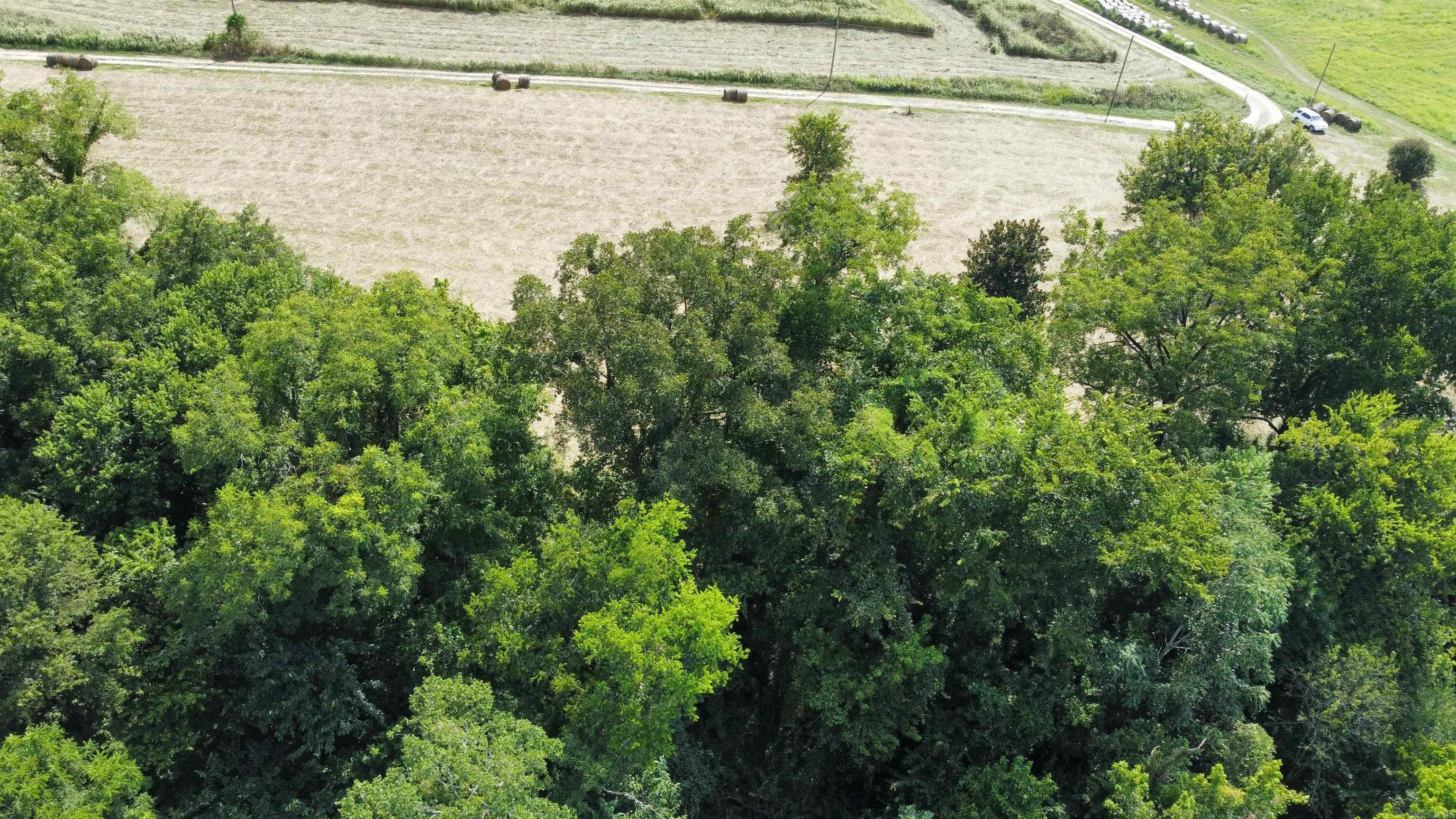 2 & 3 Jellon  Mountain View, AR