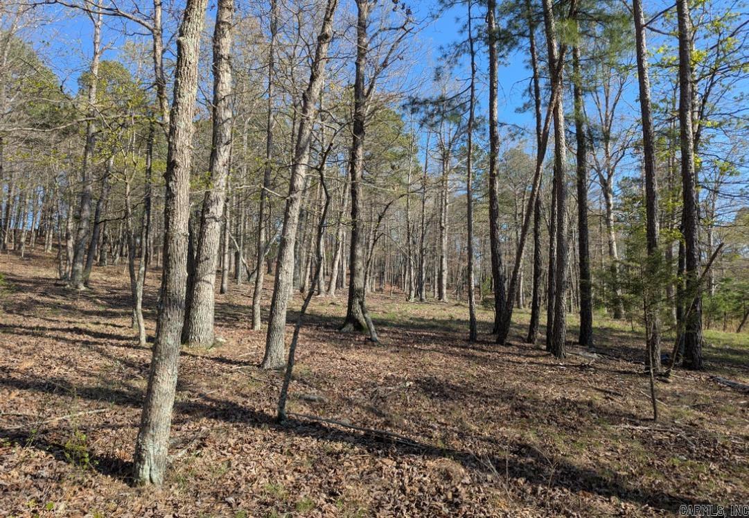 413 McElroy  Fox, AR