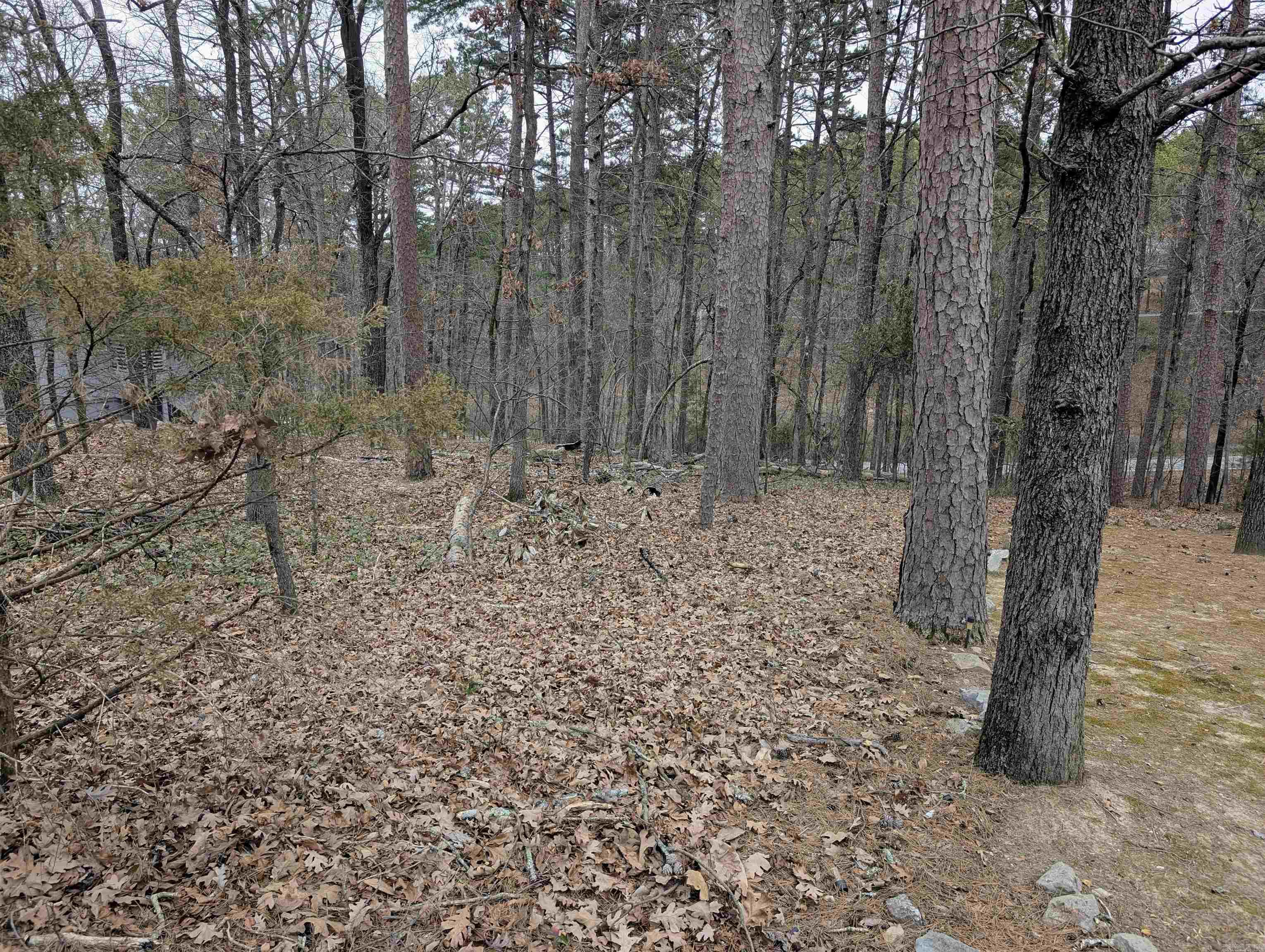 5 Salobrena  Hot Springs Village, AR