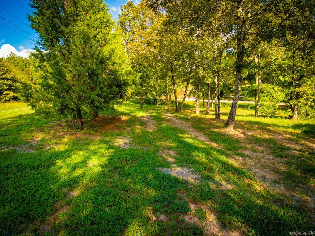 24234 Dreamy Oaks  Paron, AR