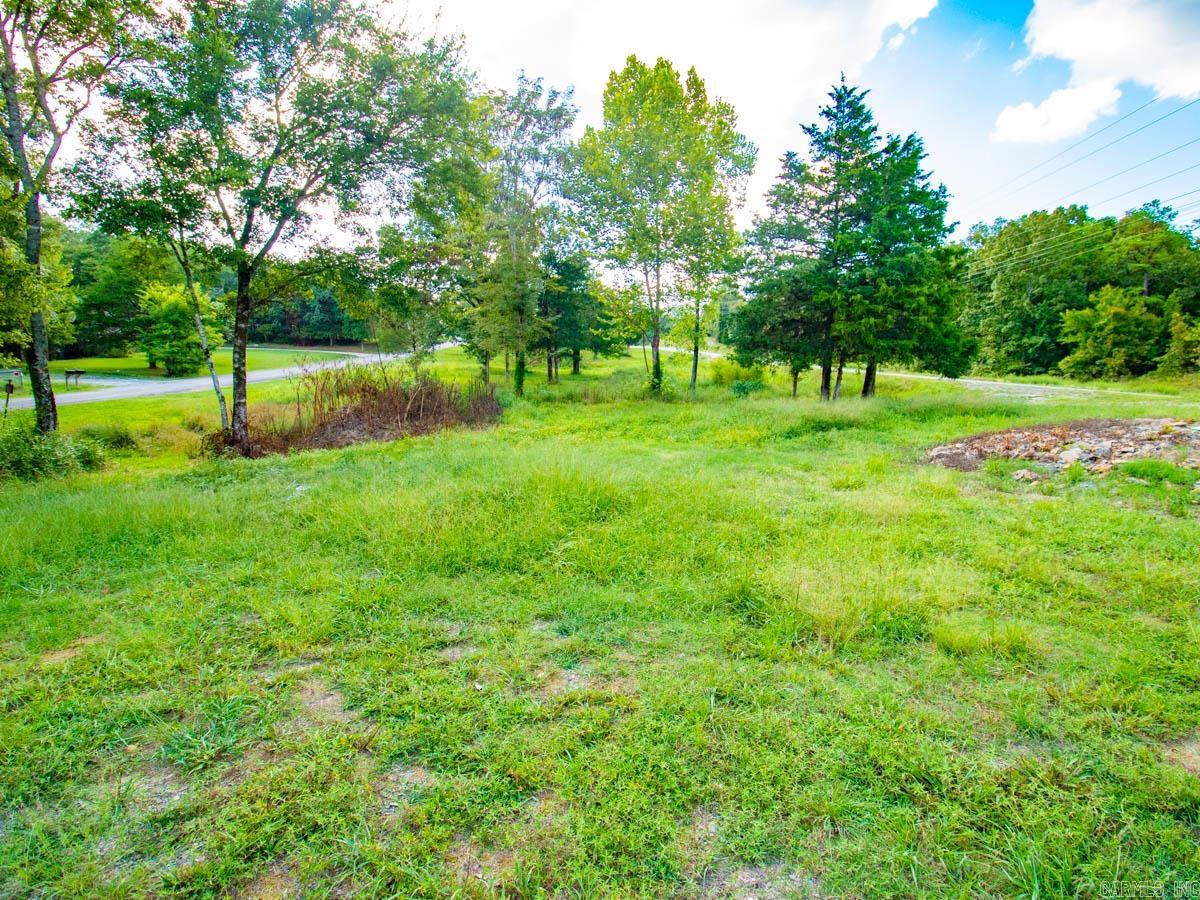 24234 Dreamy Oaks  Paron, AR