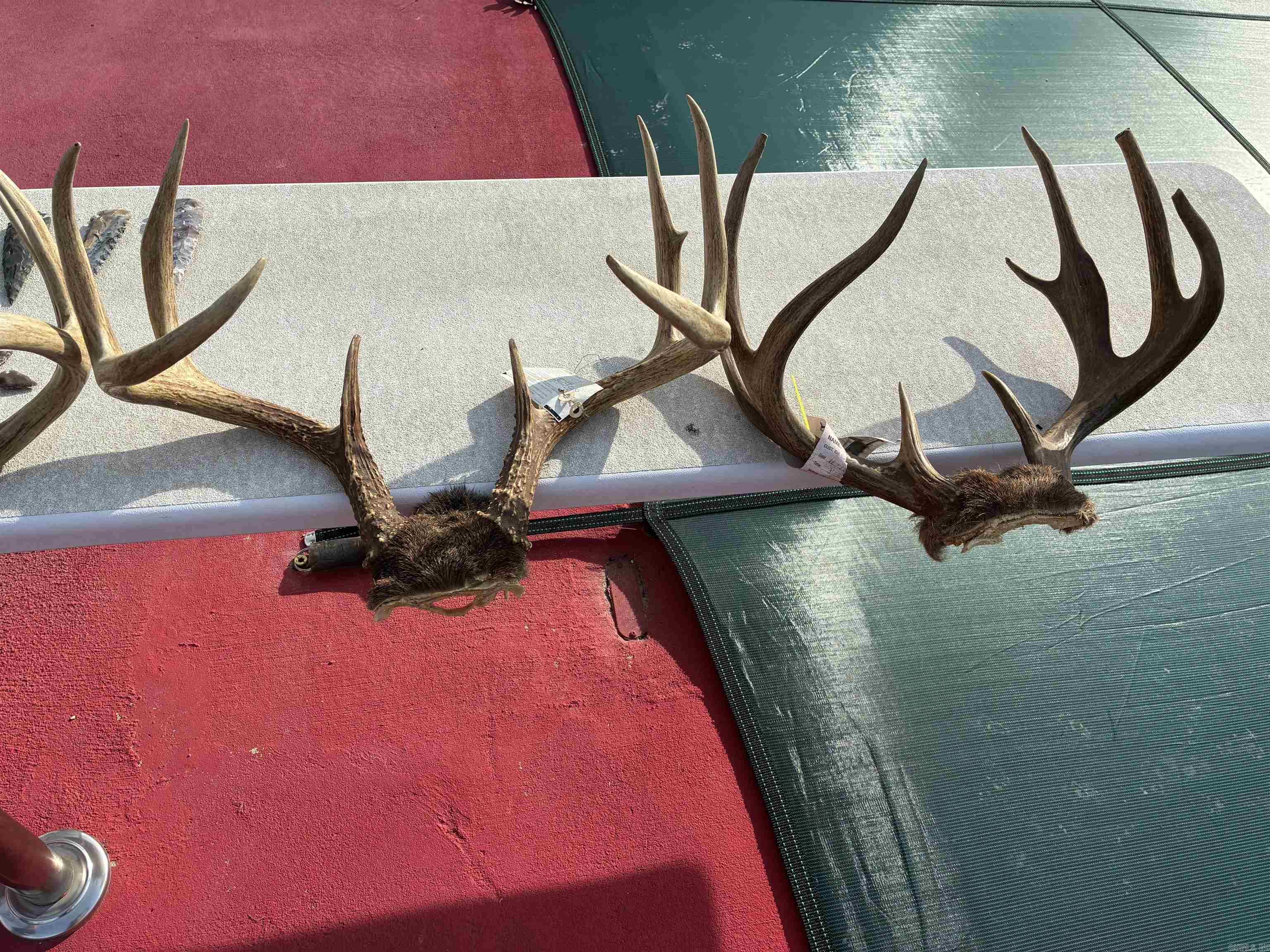 635 S Arkansas Highway 113  Bigelow, AR