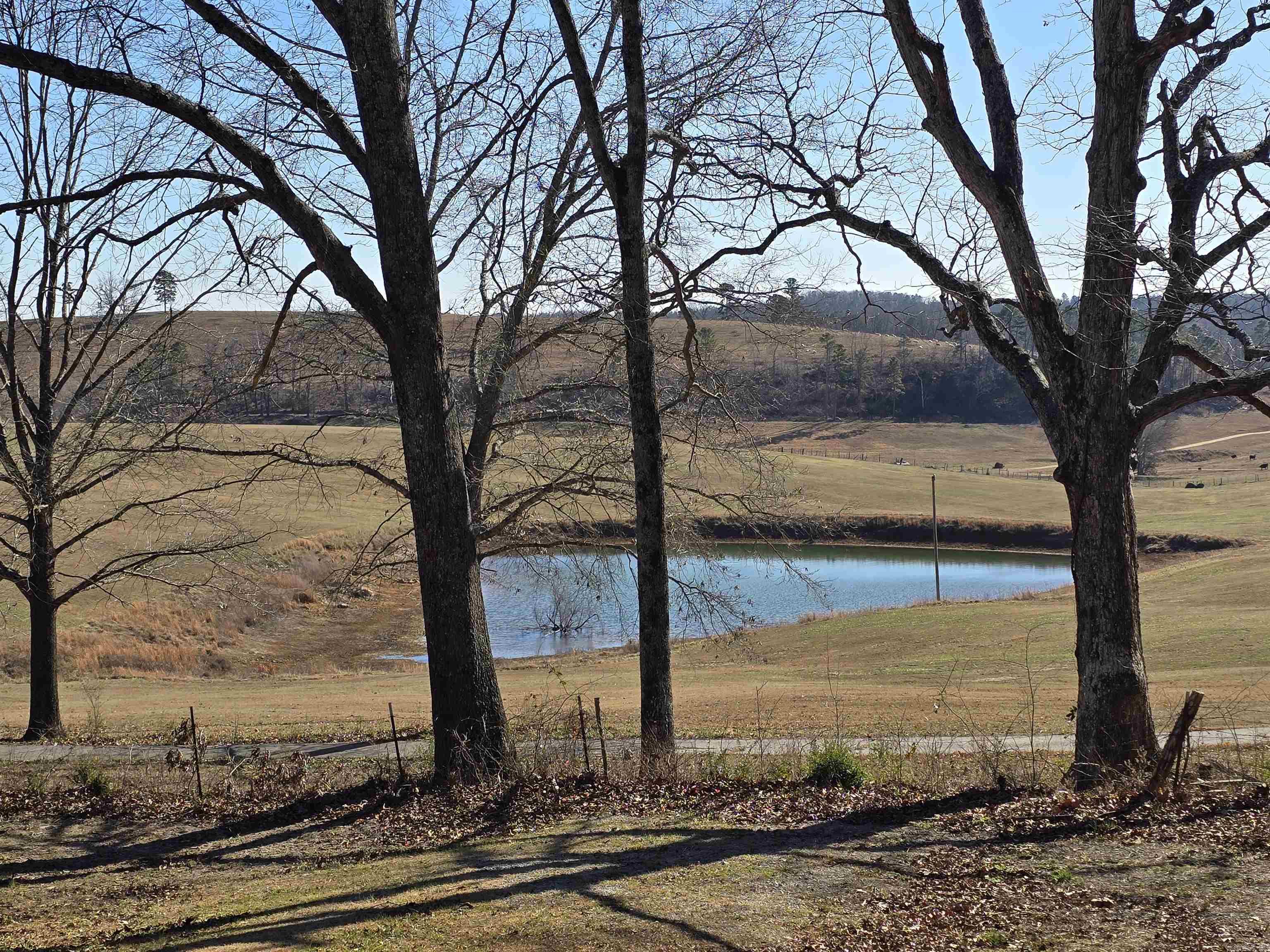 1328 Knob Creek  Melbourne, AR