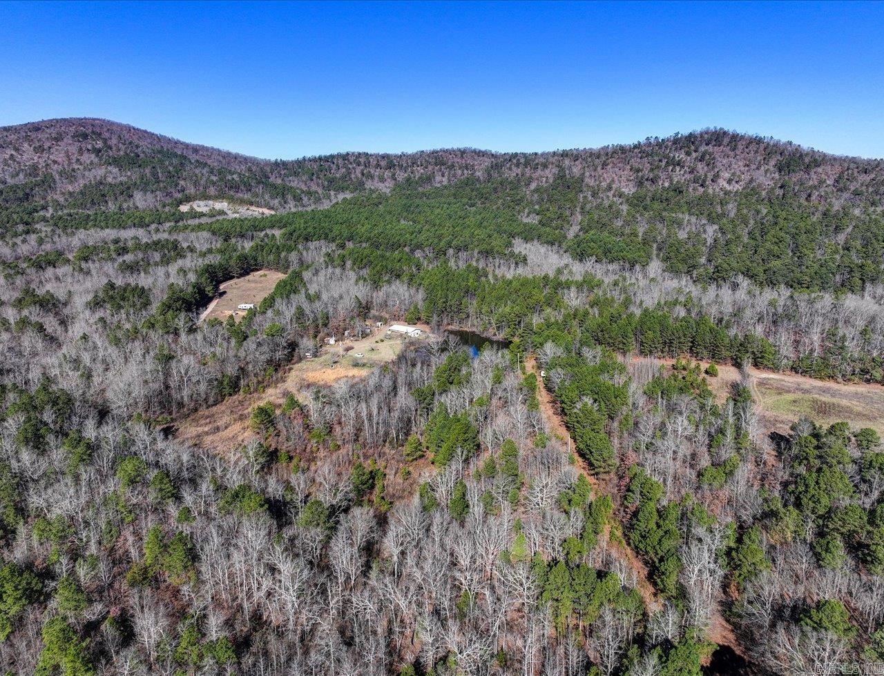 70 Pigeon Roost  Glenwood, AR