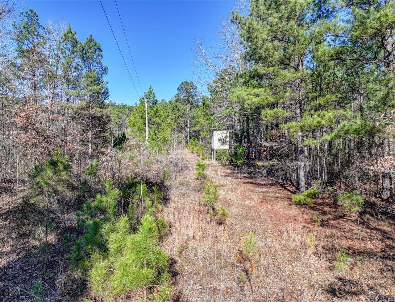 70 Pigeon Roost  Glenwood, AR